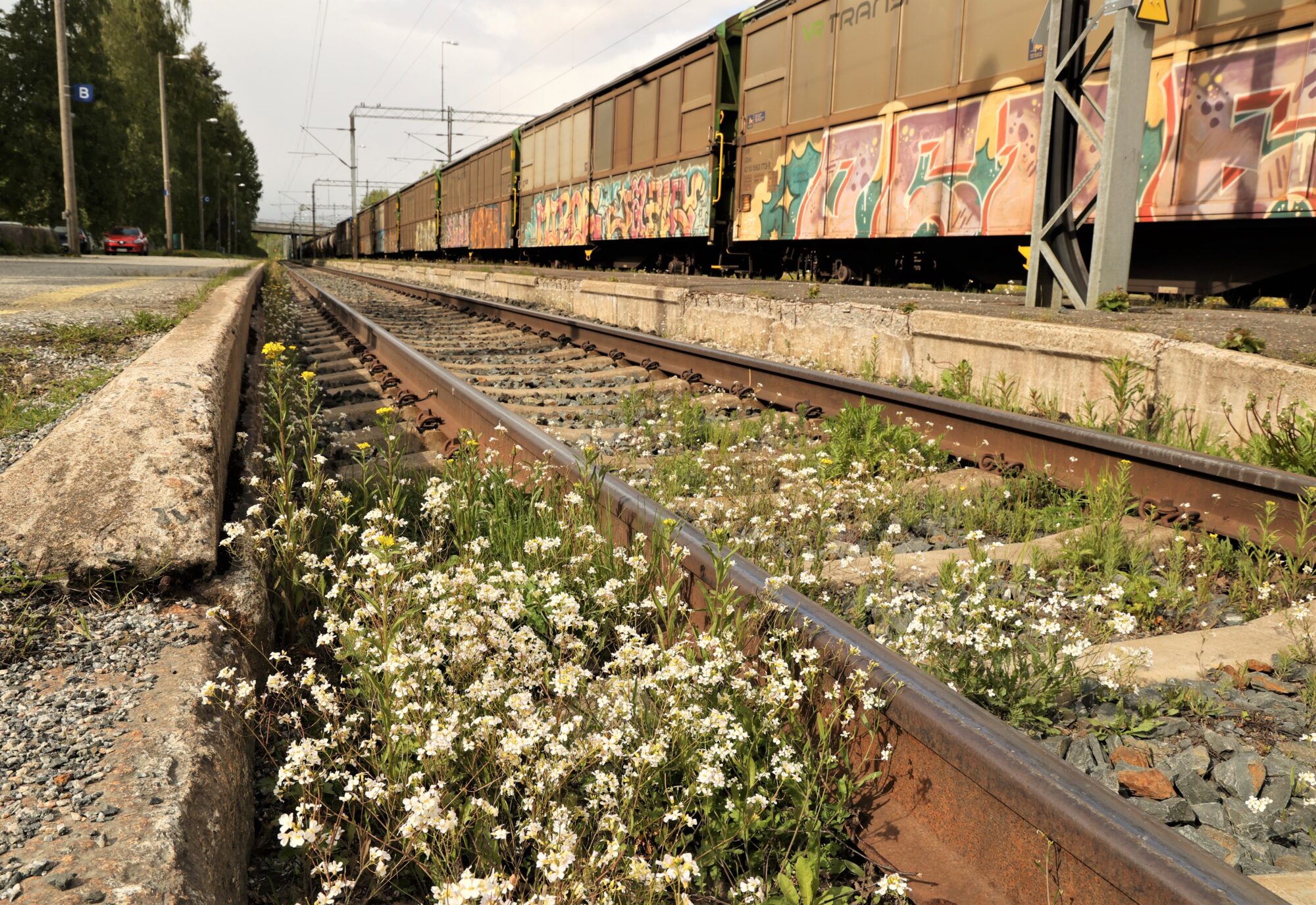 Valokuvaaja: Kaarina Heiskanen