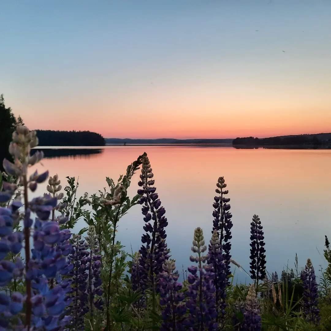 Valokuvaaja: Susanna Lehtonen