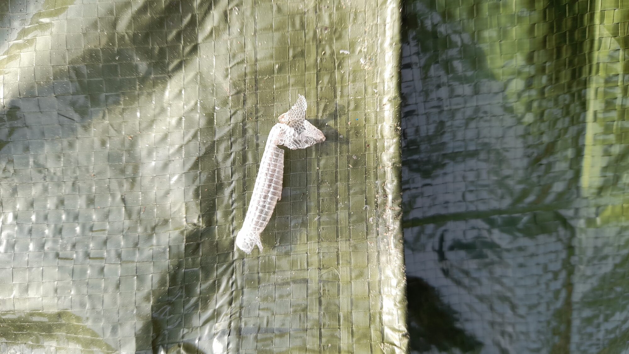 Valokuvaaja: Marjo Mäntykivi