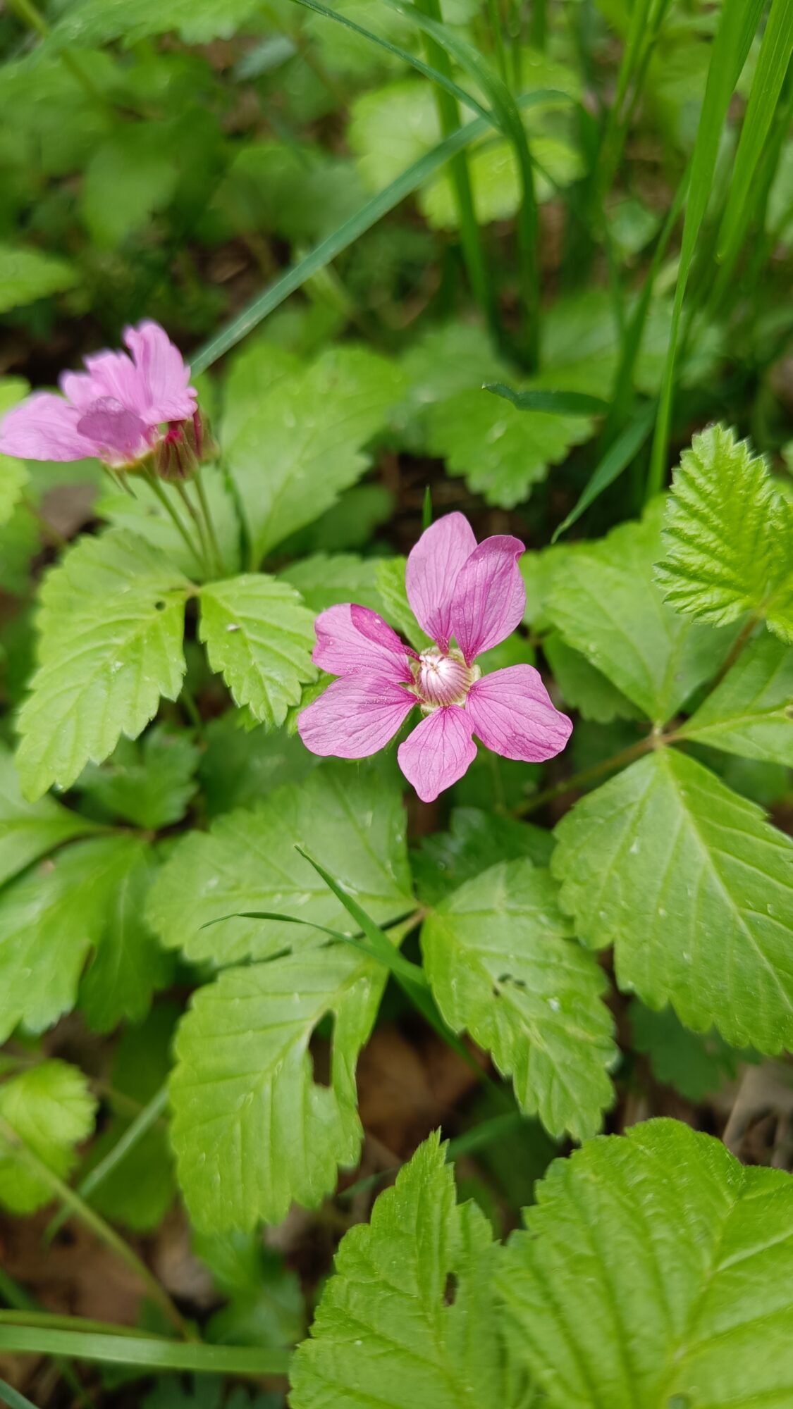 Valokuvaaja: Jenna Pitkänen