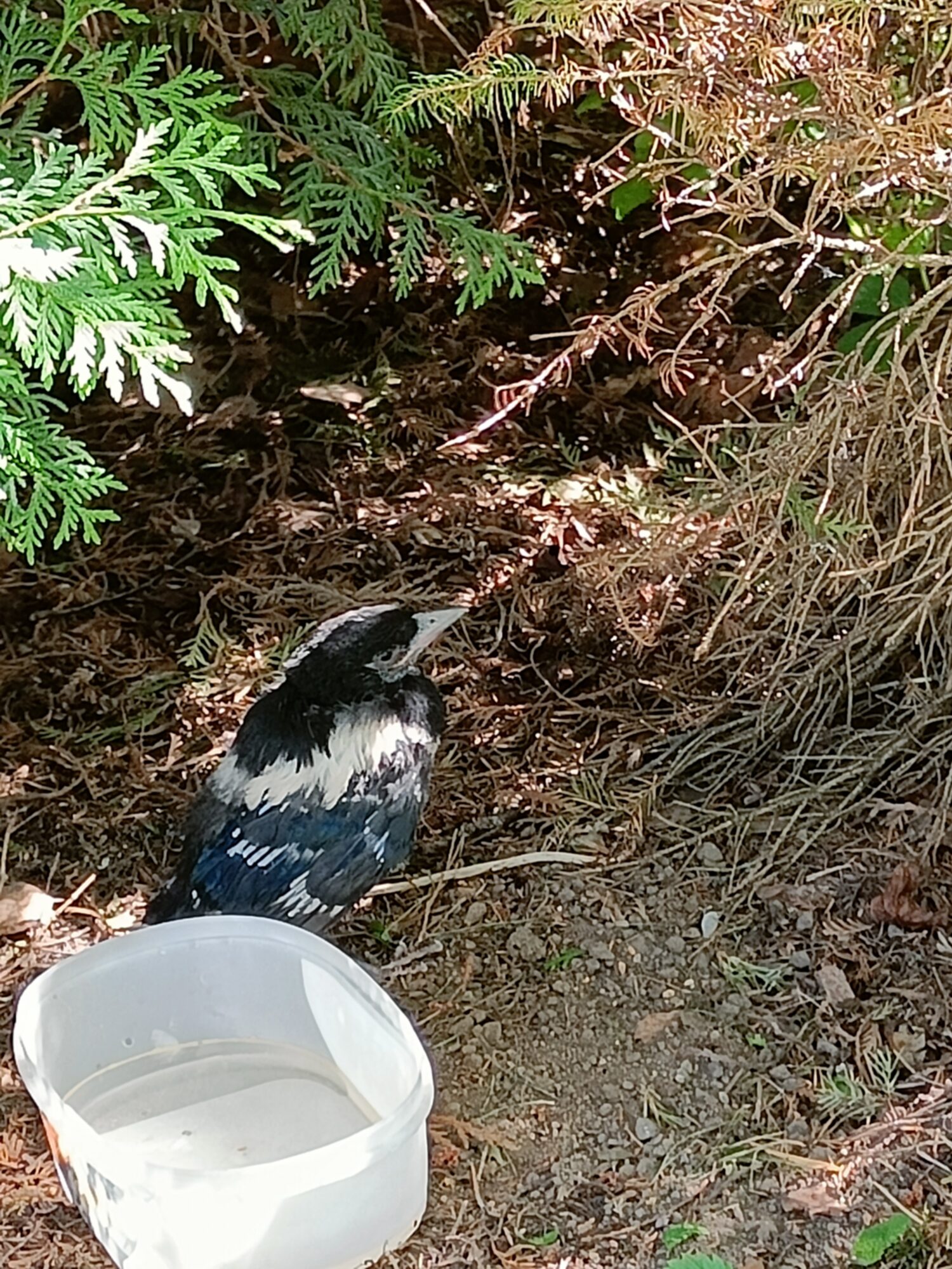 Valokuvaaja: Keijo Suuronen