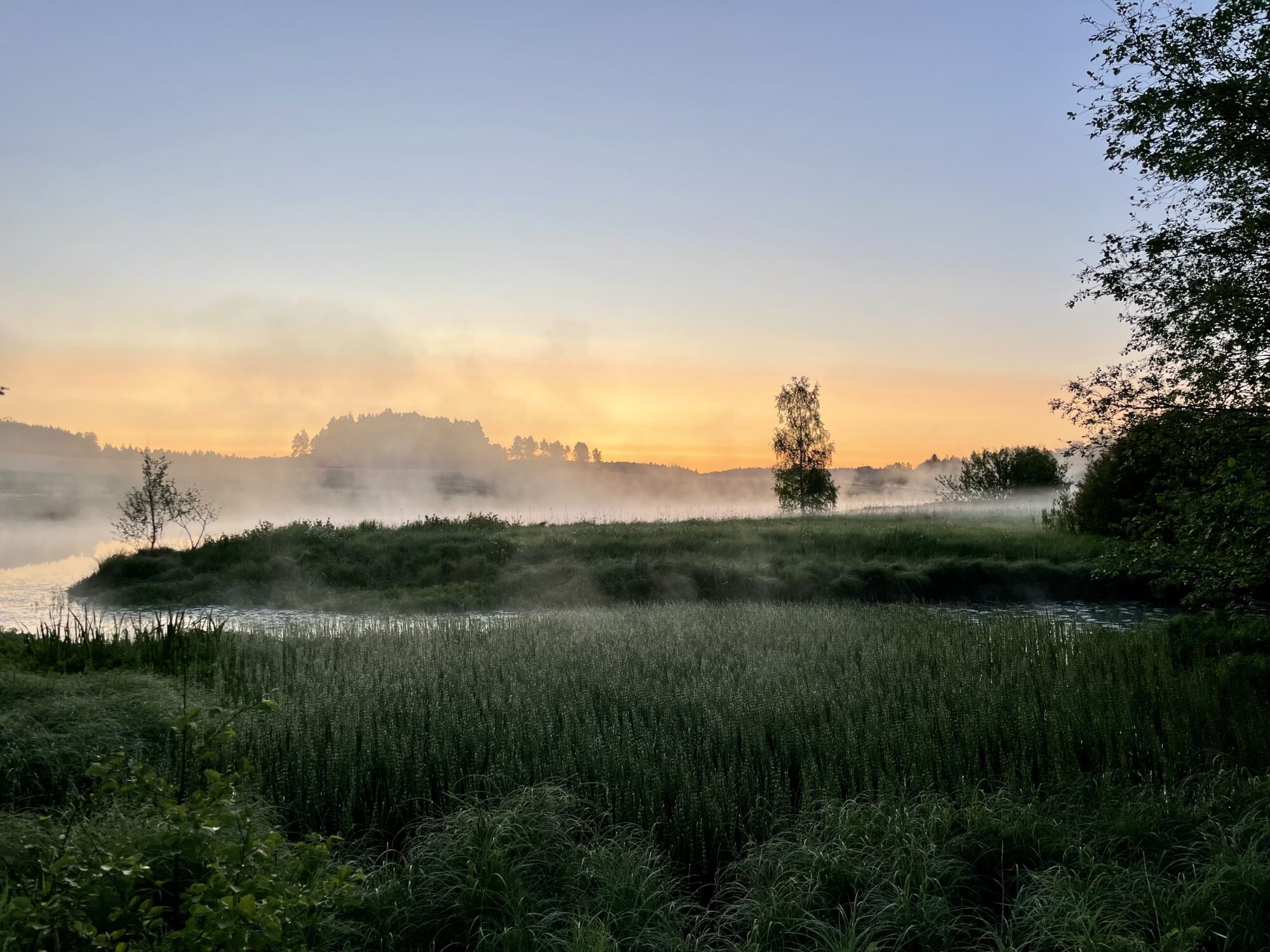 Valokuvaaja: Juhani Peltonen