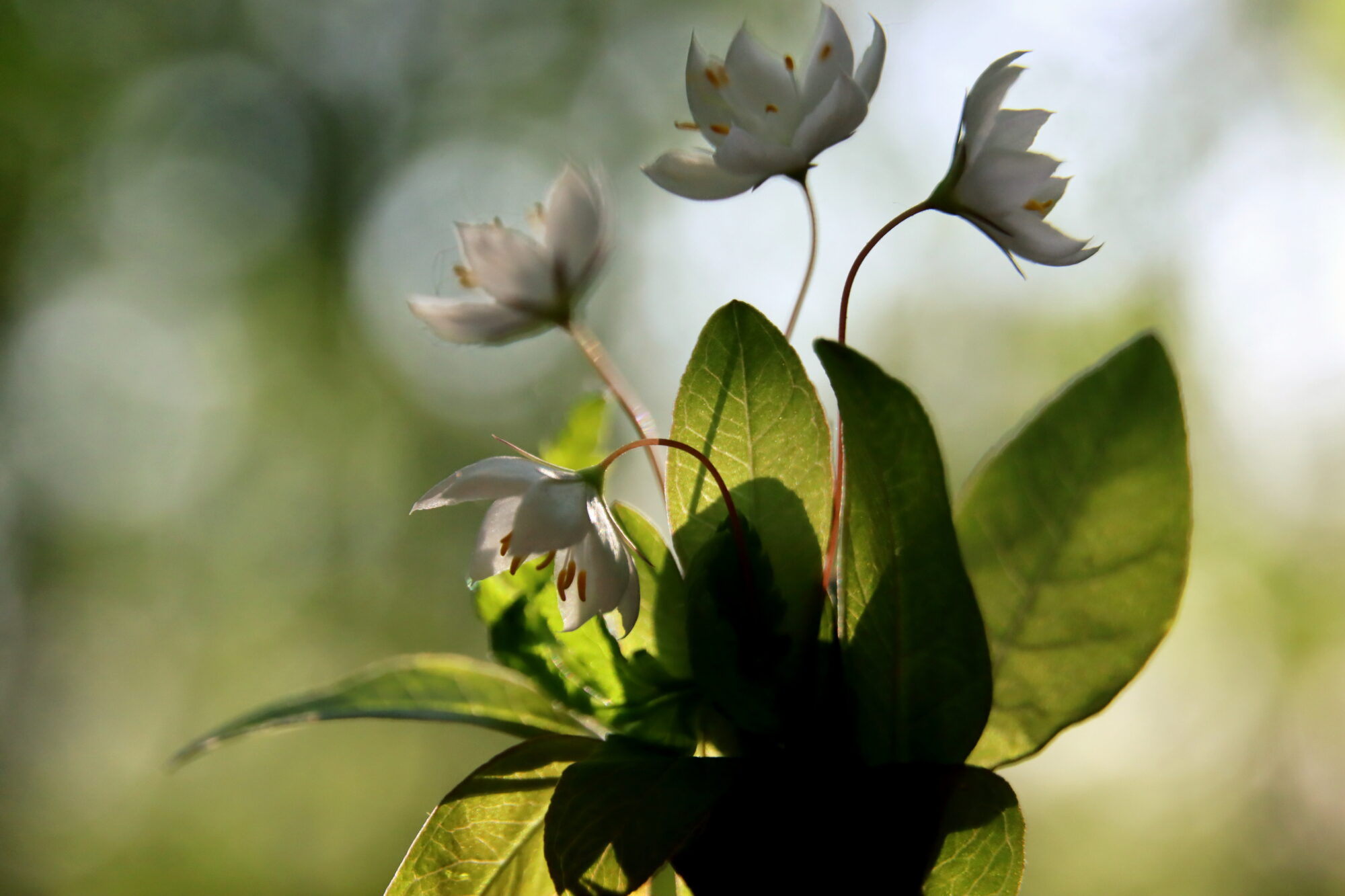 Valokuvaaja: Irja Lehtinen