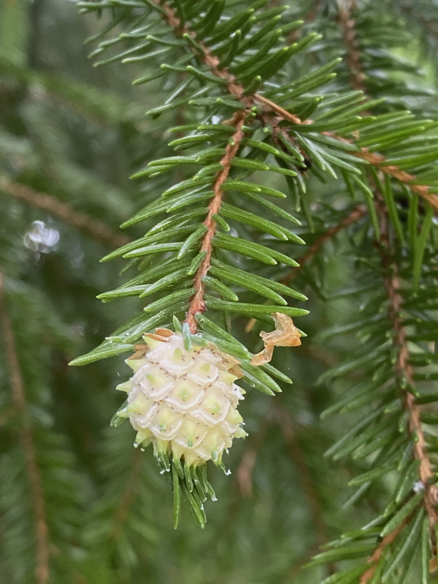 Valokuvaaja: Markku Ranta-Eilola