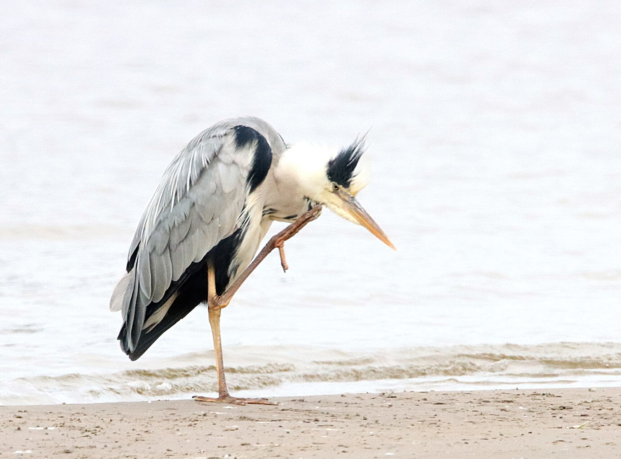 Valokuvaaja: Irja Lehtinen