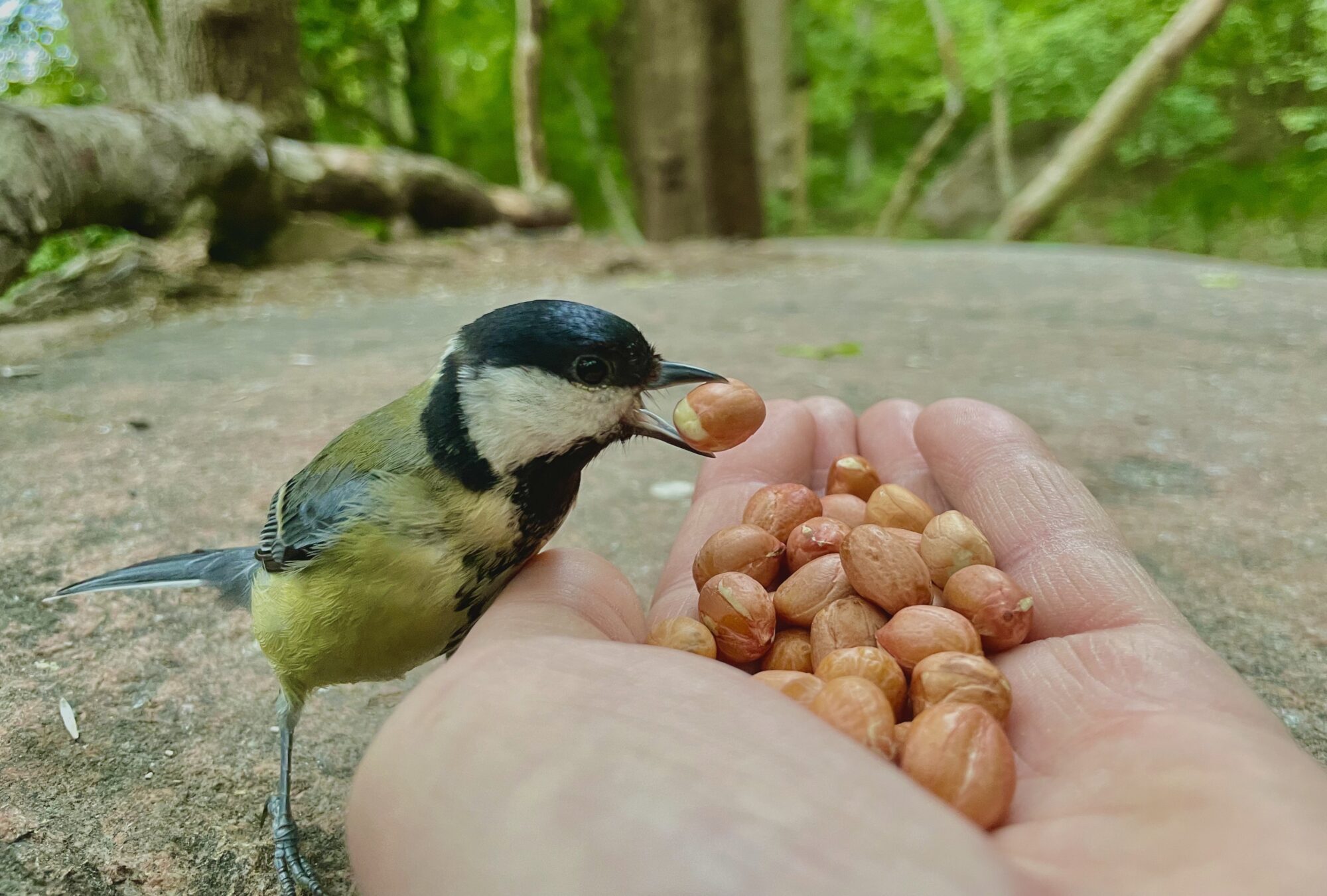Valokuvaaja: Juhani Peltonen