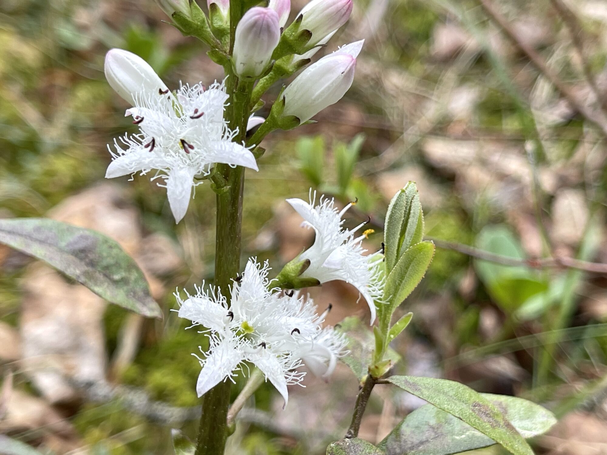 Valokuvaaja: Liisa Niiva-Korpela