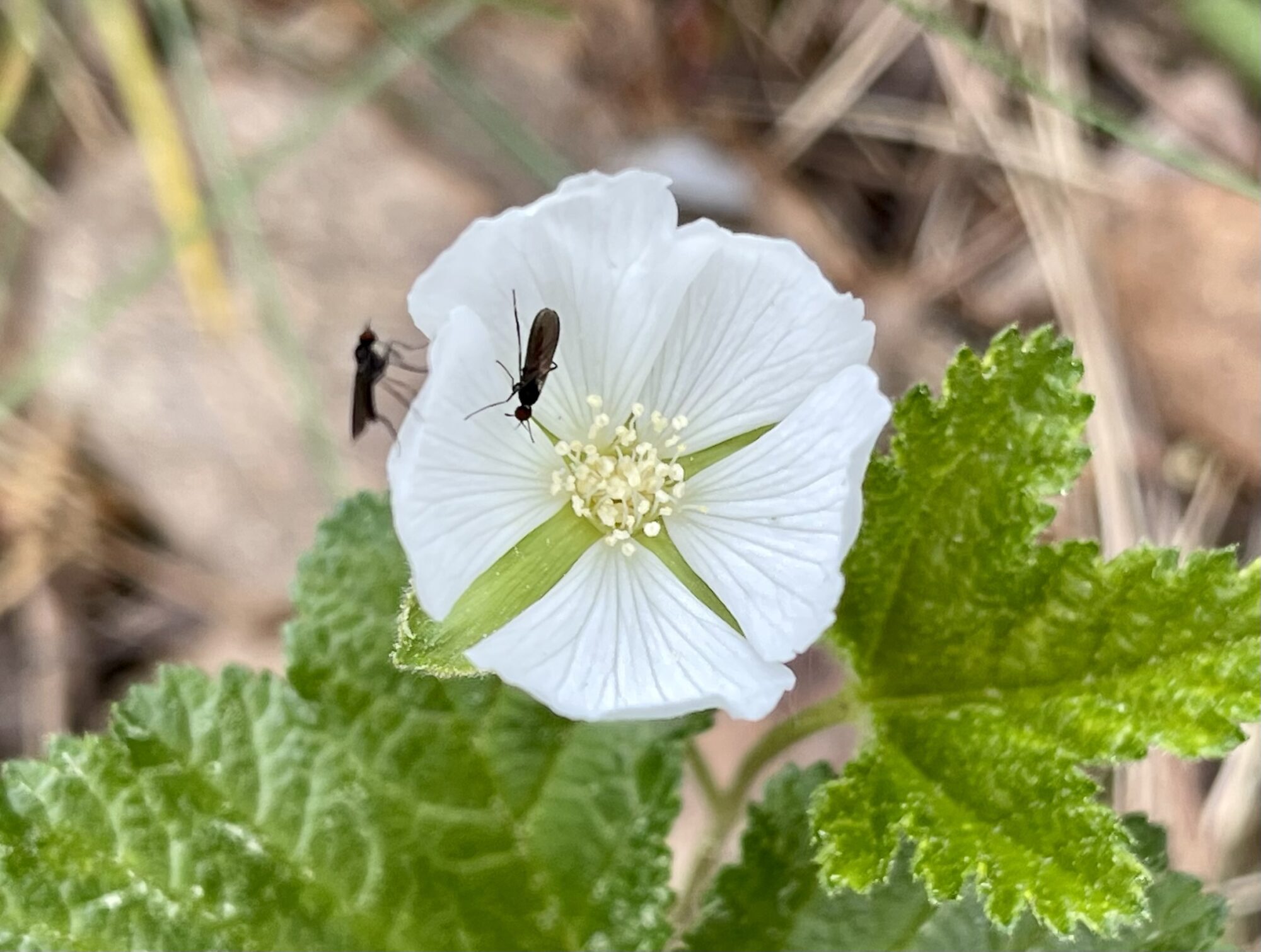 Valokuvaaja: Liisa Niiva-Korpela