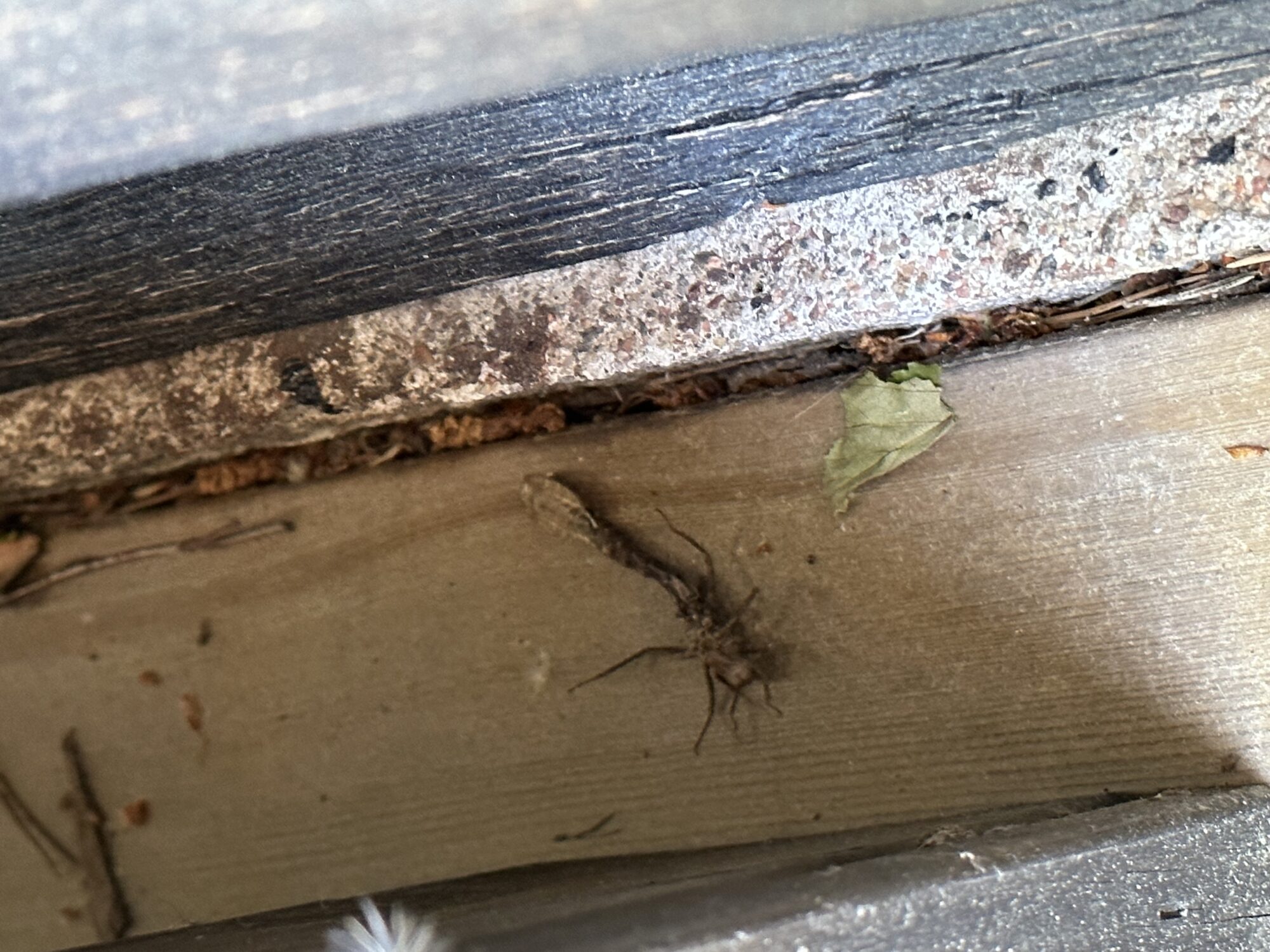 Valokuvaaja: Merja Valli