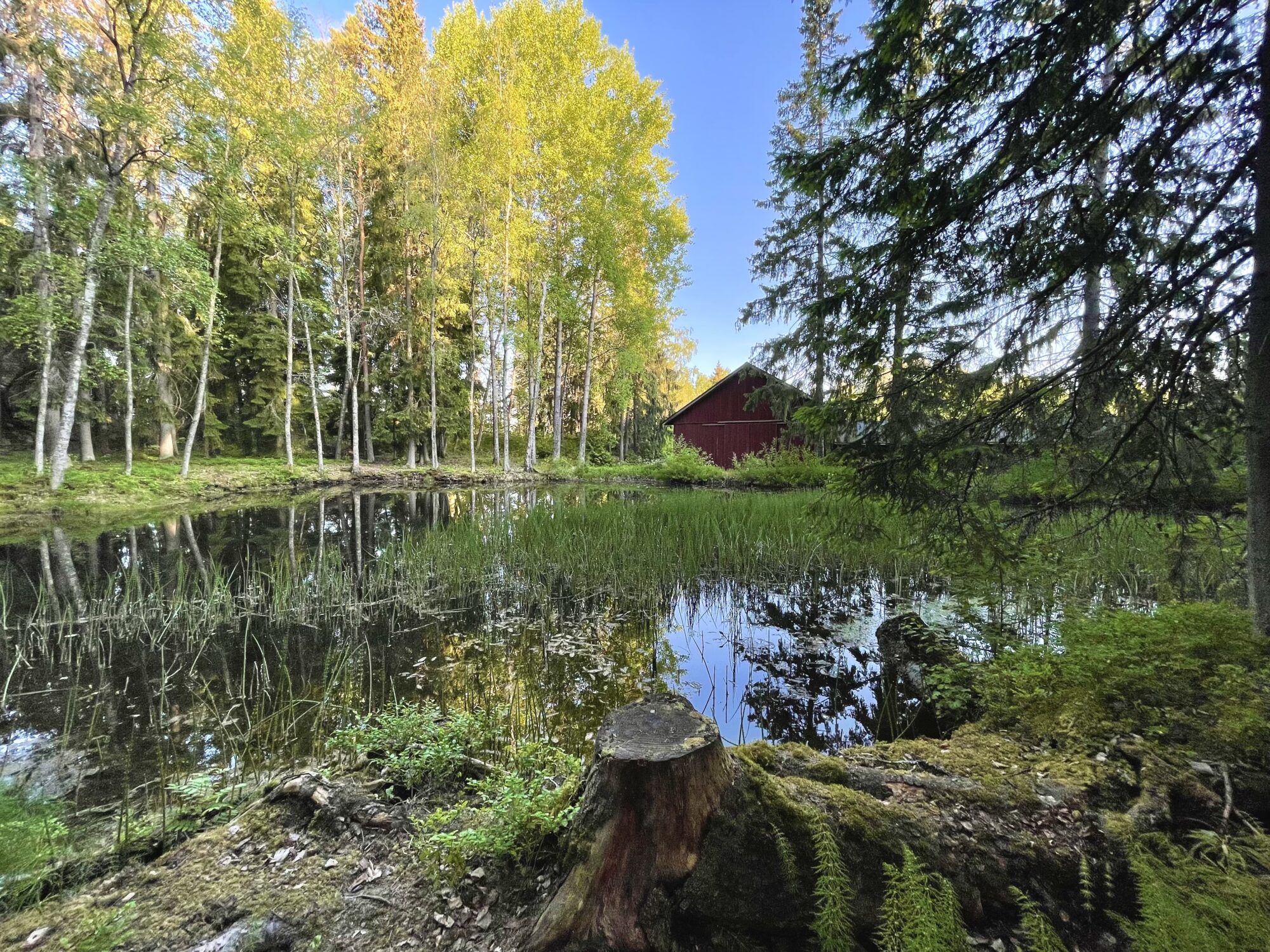 Valokuvaaja: Juhani Peltonen