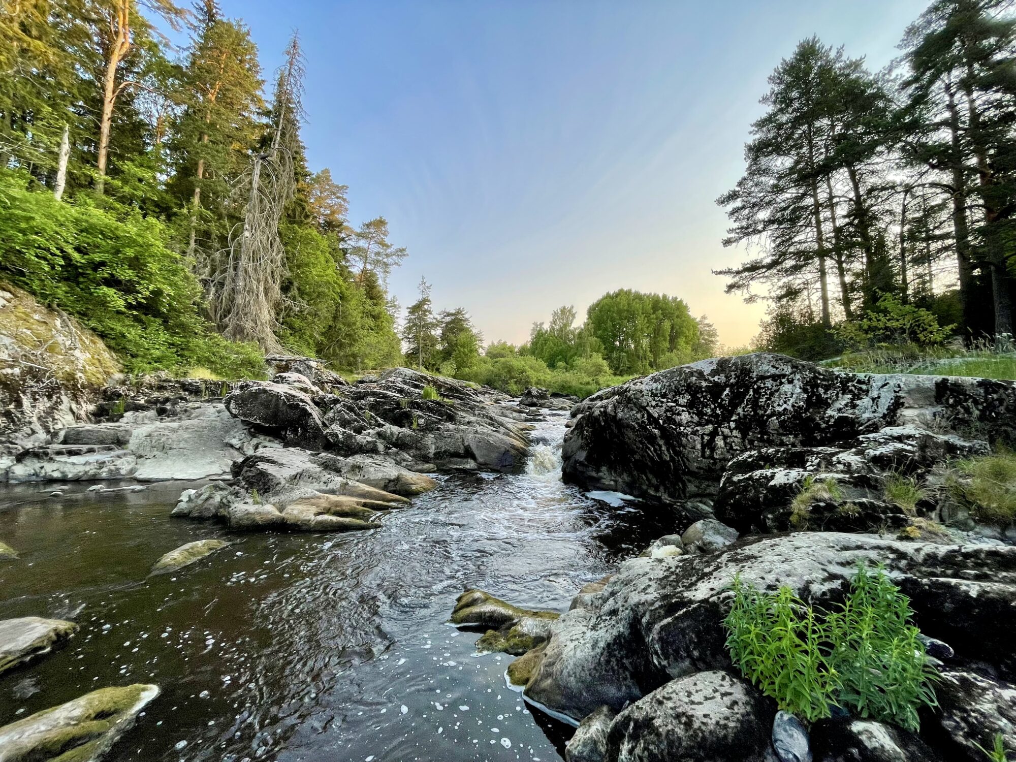 Valokuvaaja: Juhani Peltonen