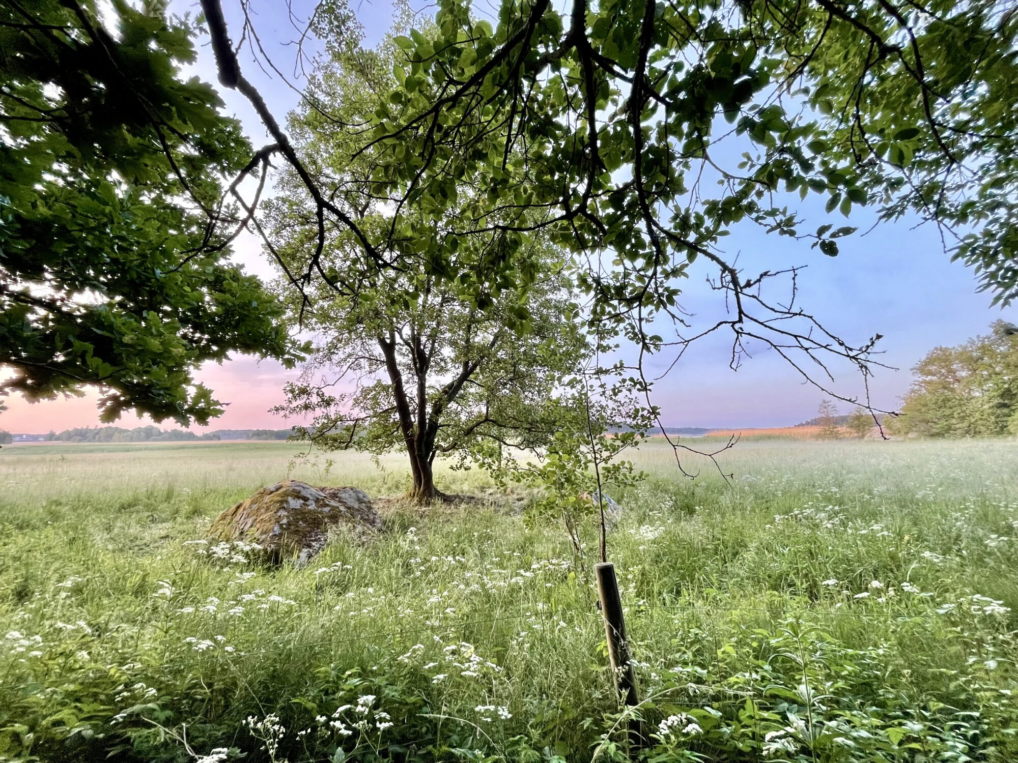 Valokuvaaja: Juhani Peltonen