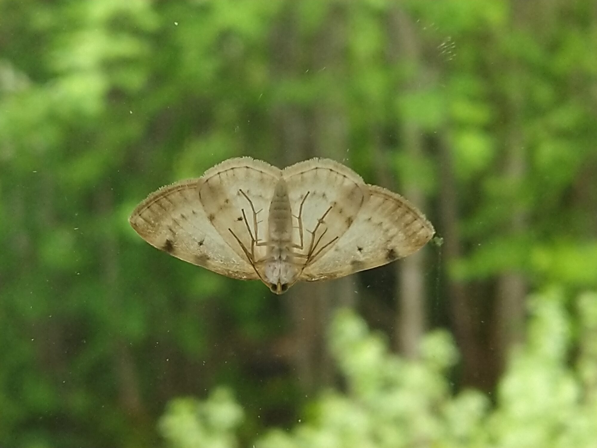 Valokuvaaja: Eija Suhonen