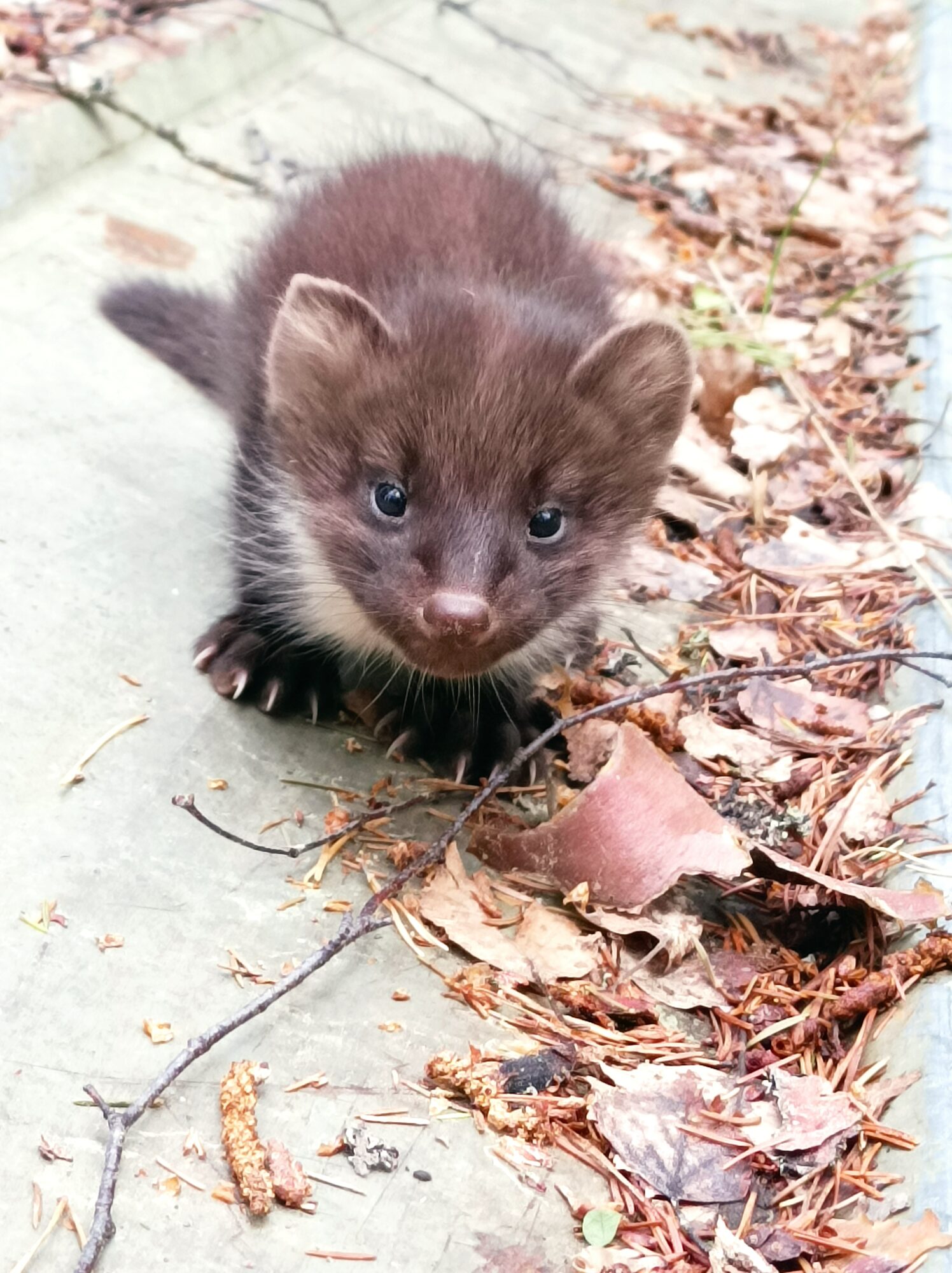 Valokuvaaja: Päivö Hirvonen