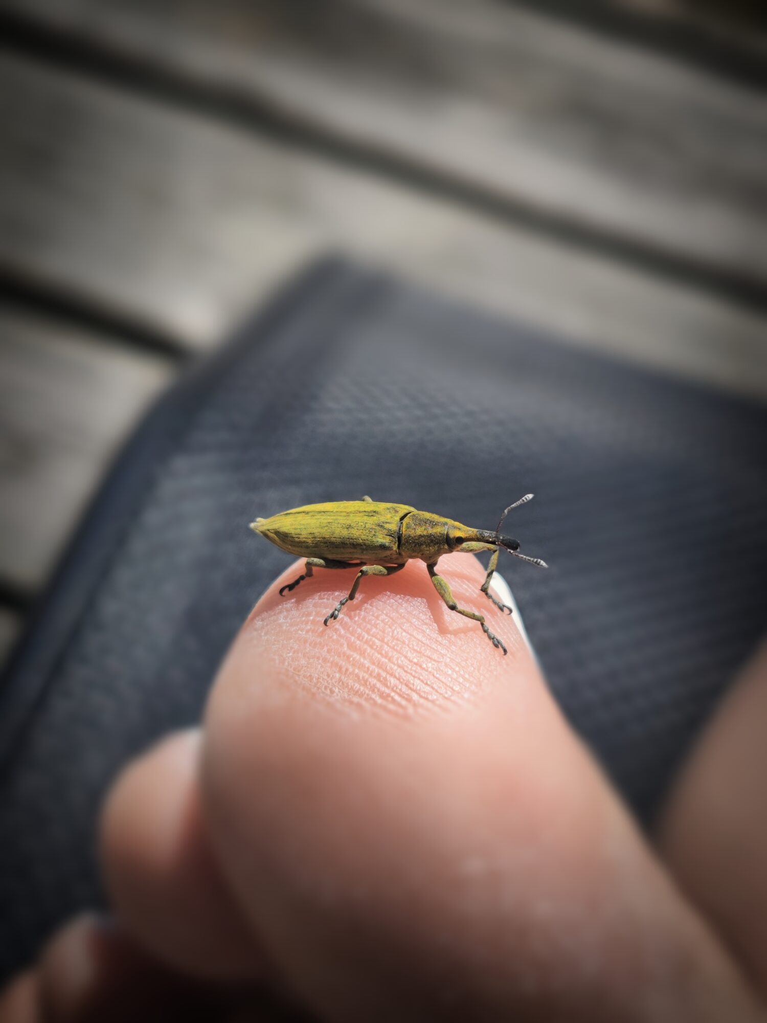 Valokuvaaja: Maija Jortikka