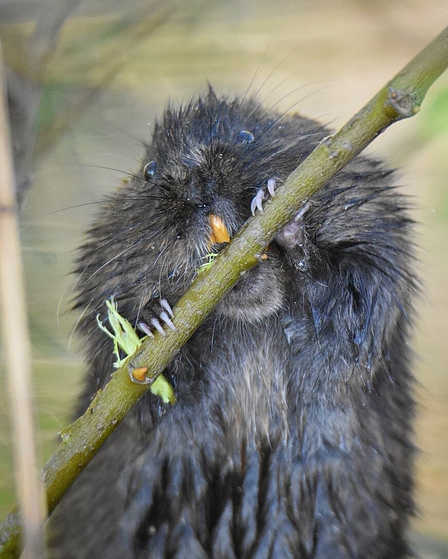 Valokuvaaja: Olli Inkinen Valokuvaaja: Olli Inkinen