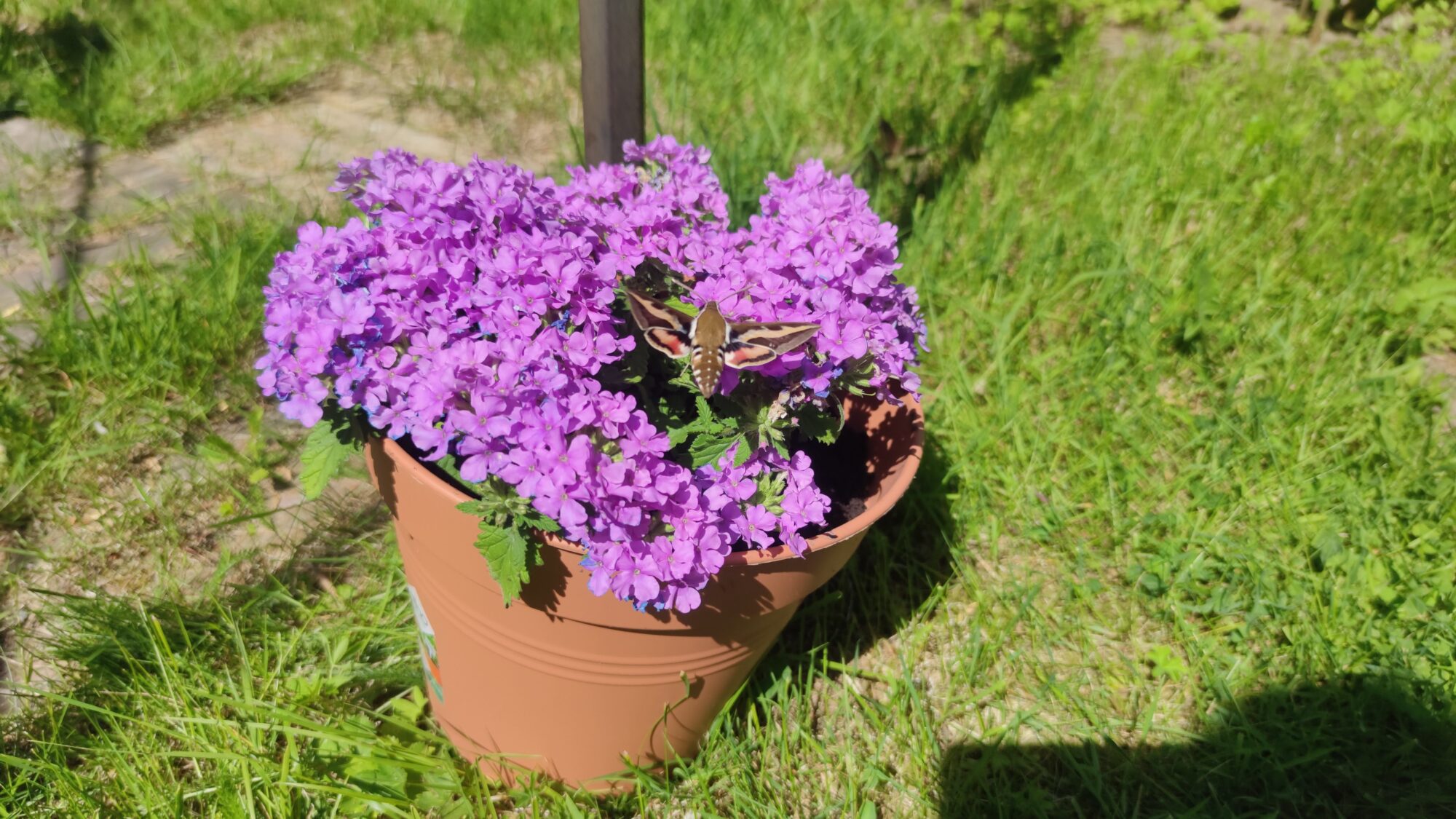 Valokuvaaja: Svetlana Chtchegoleva