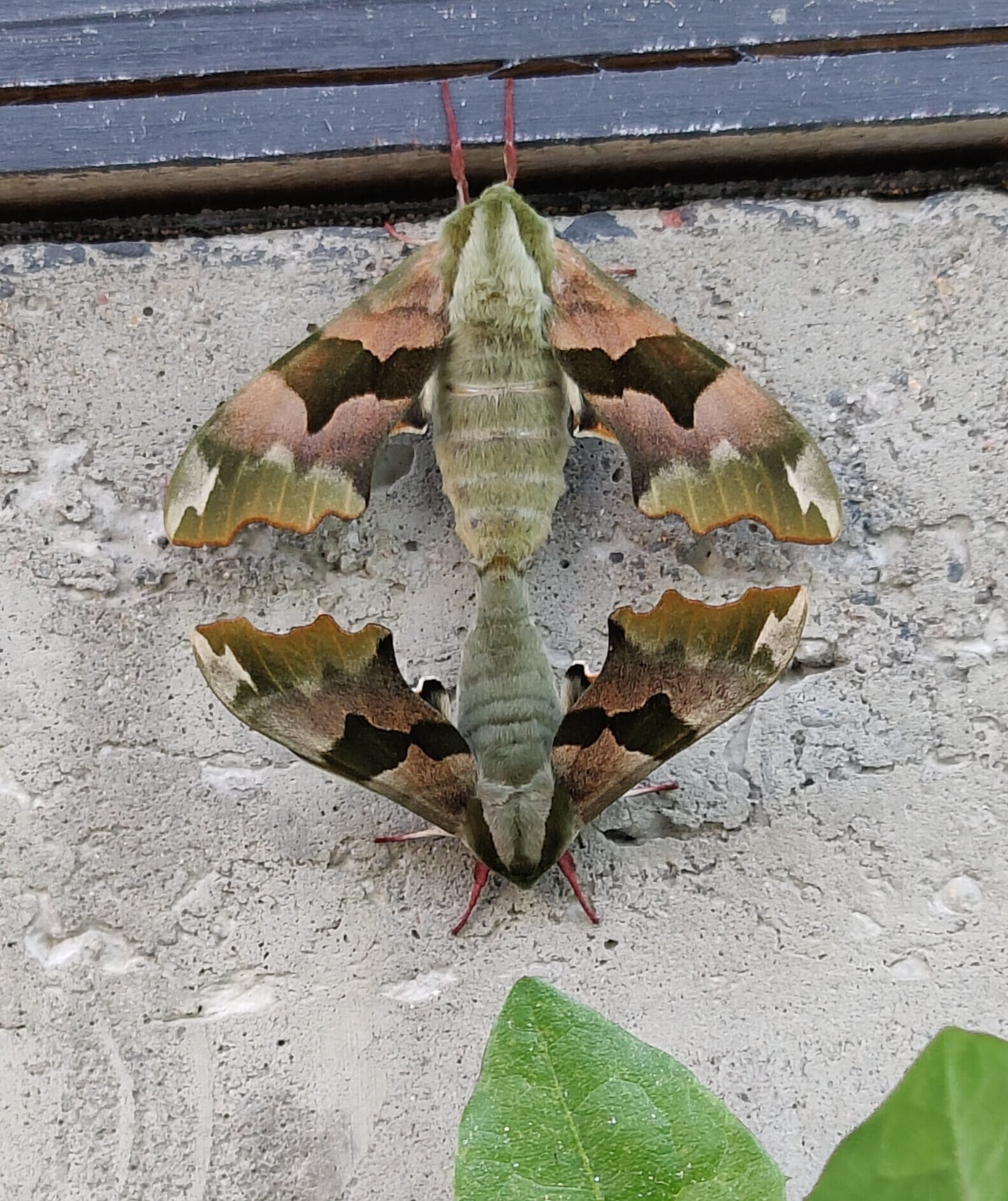 Valokuvaaja: Veli-Pekka Jortama