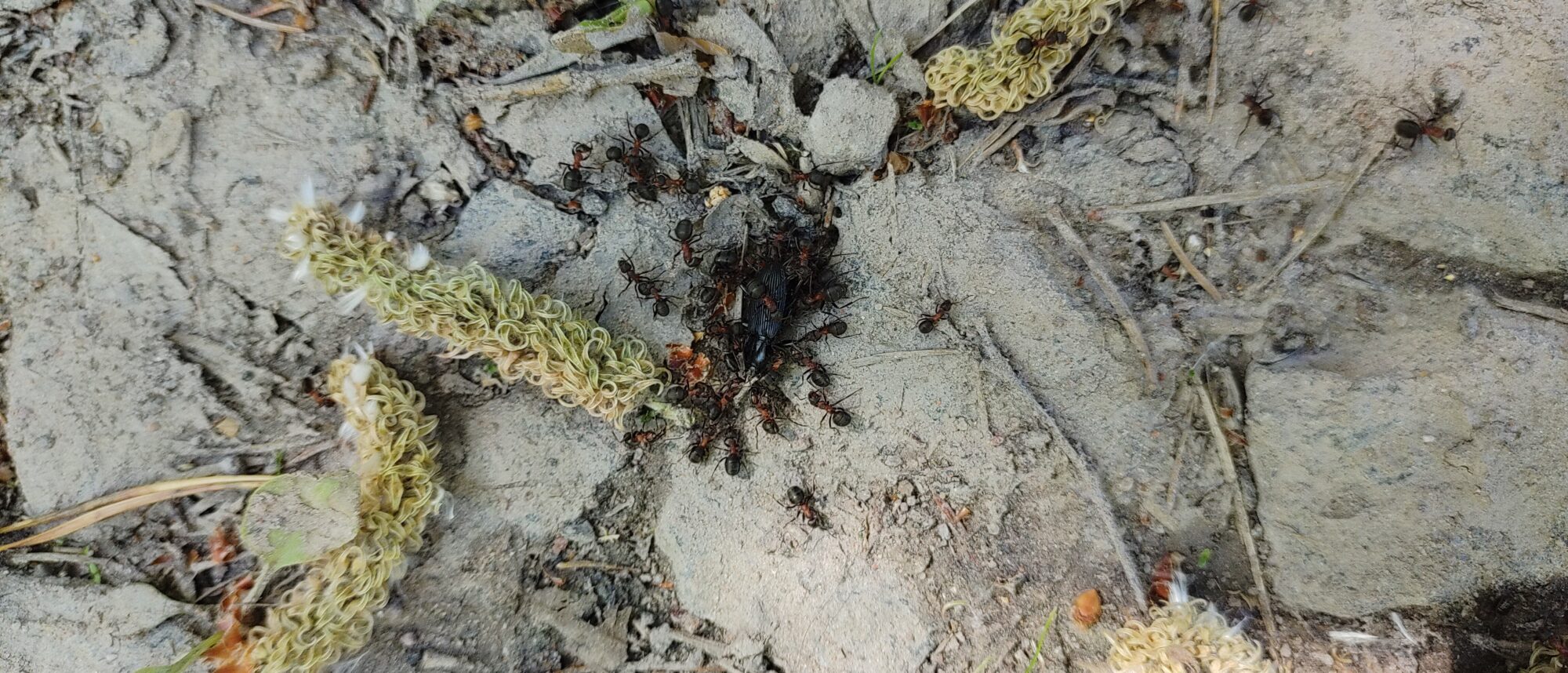 Valokuvaaja: Ari-Pekka Kankaanpää