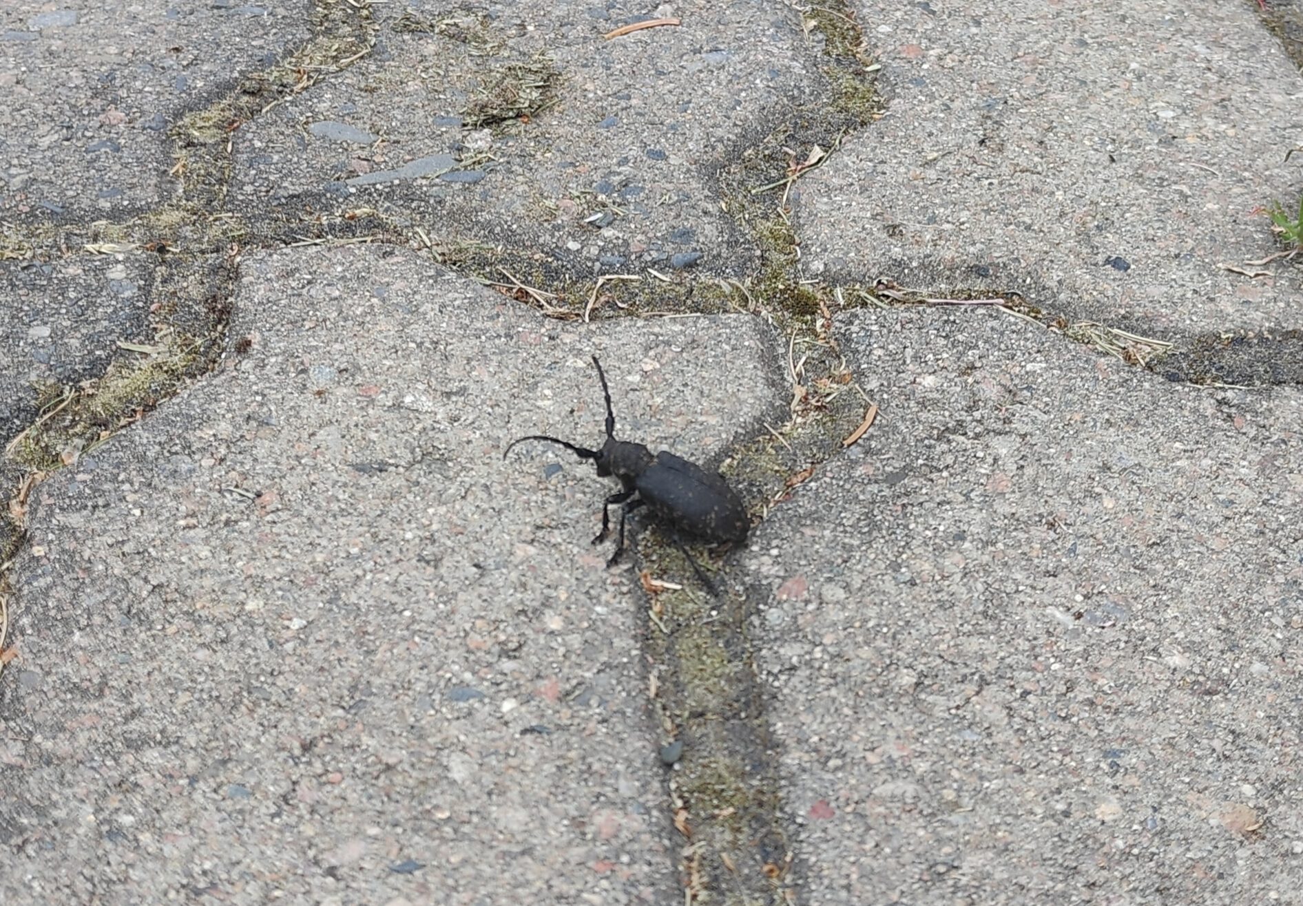 Valokuvaaja: Johanna ojala