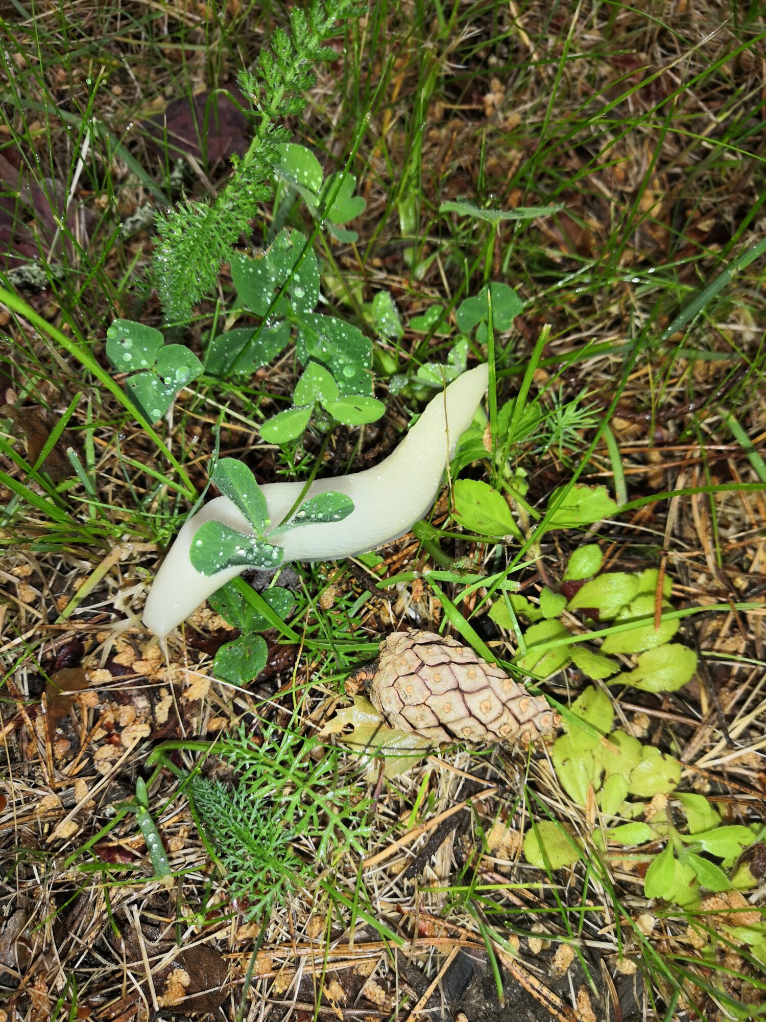 Valokuvaaja: Anna Manner