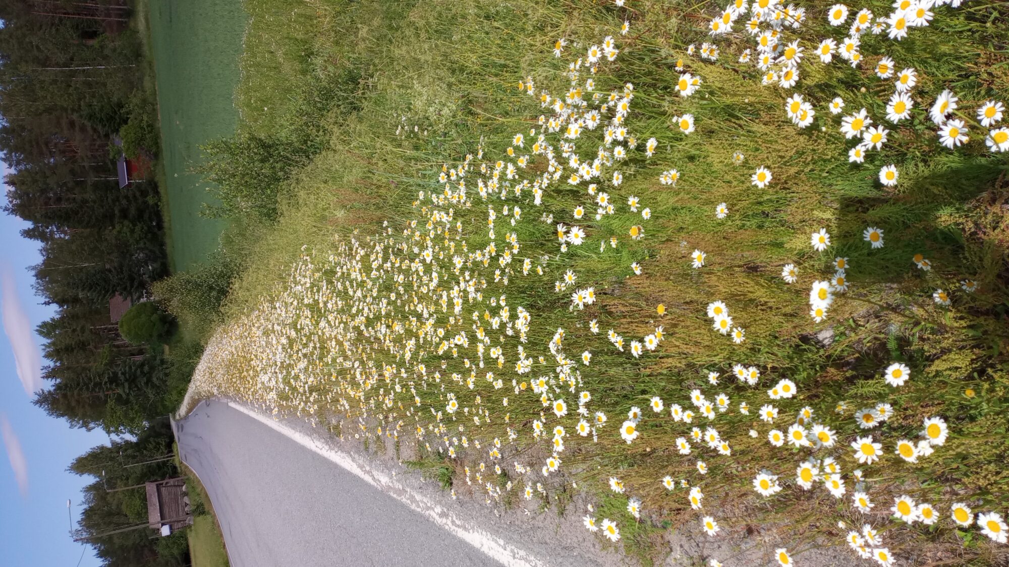 Valokuvaaja: Heli Lehtonen