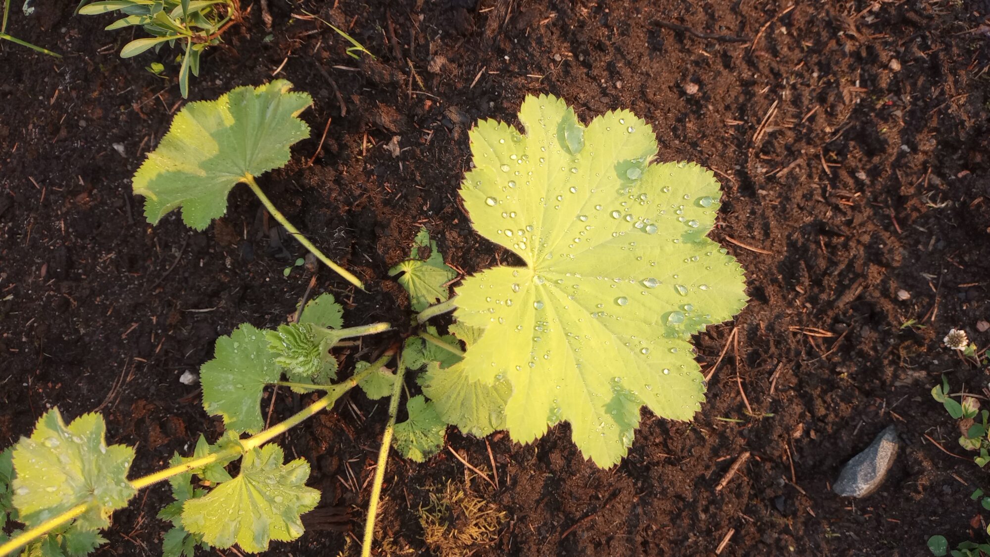 Valokuvaaja: Heli Lehtonen