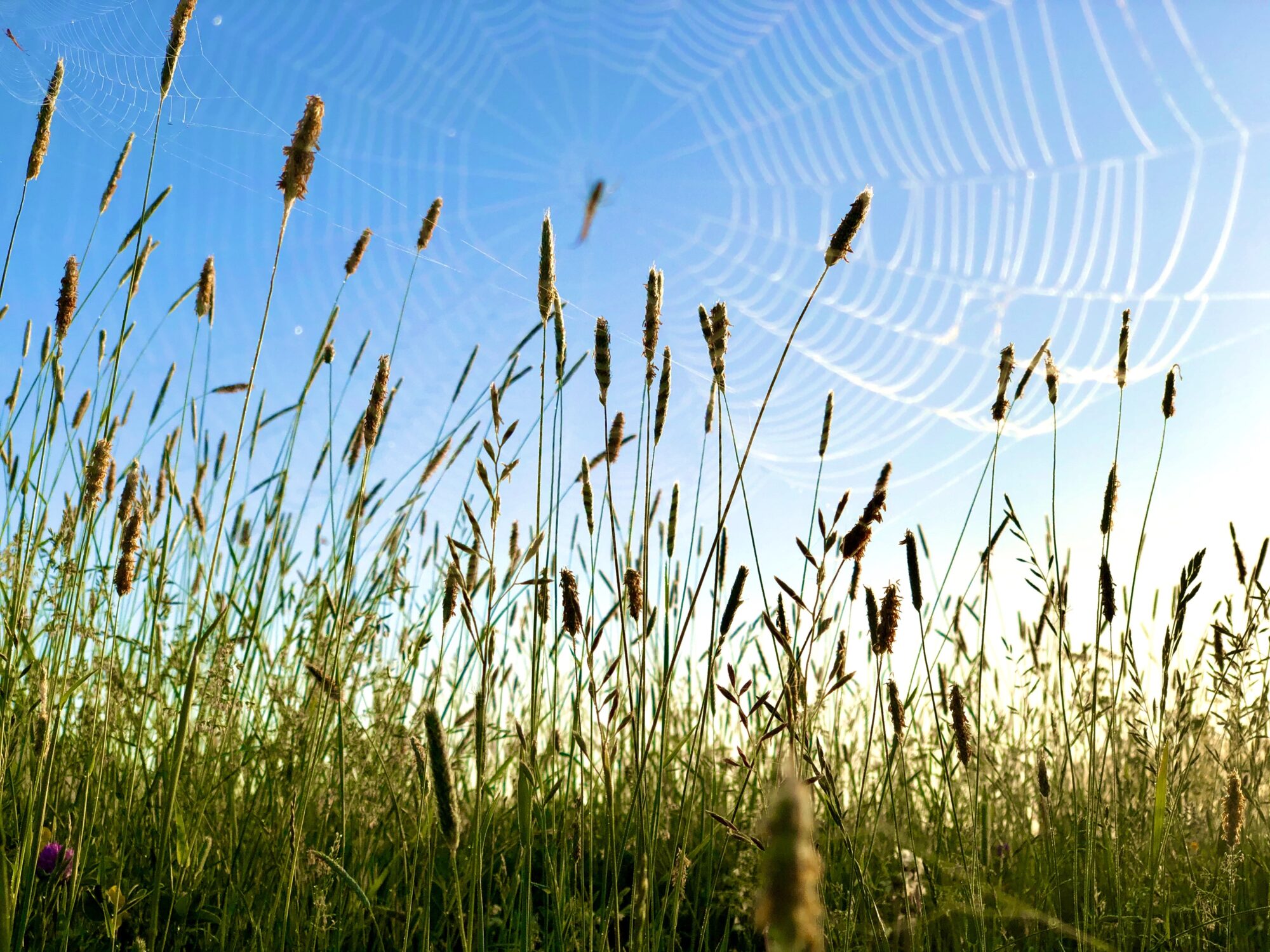 Valokuvaaja: Juhani Peltonen