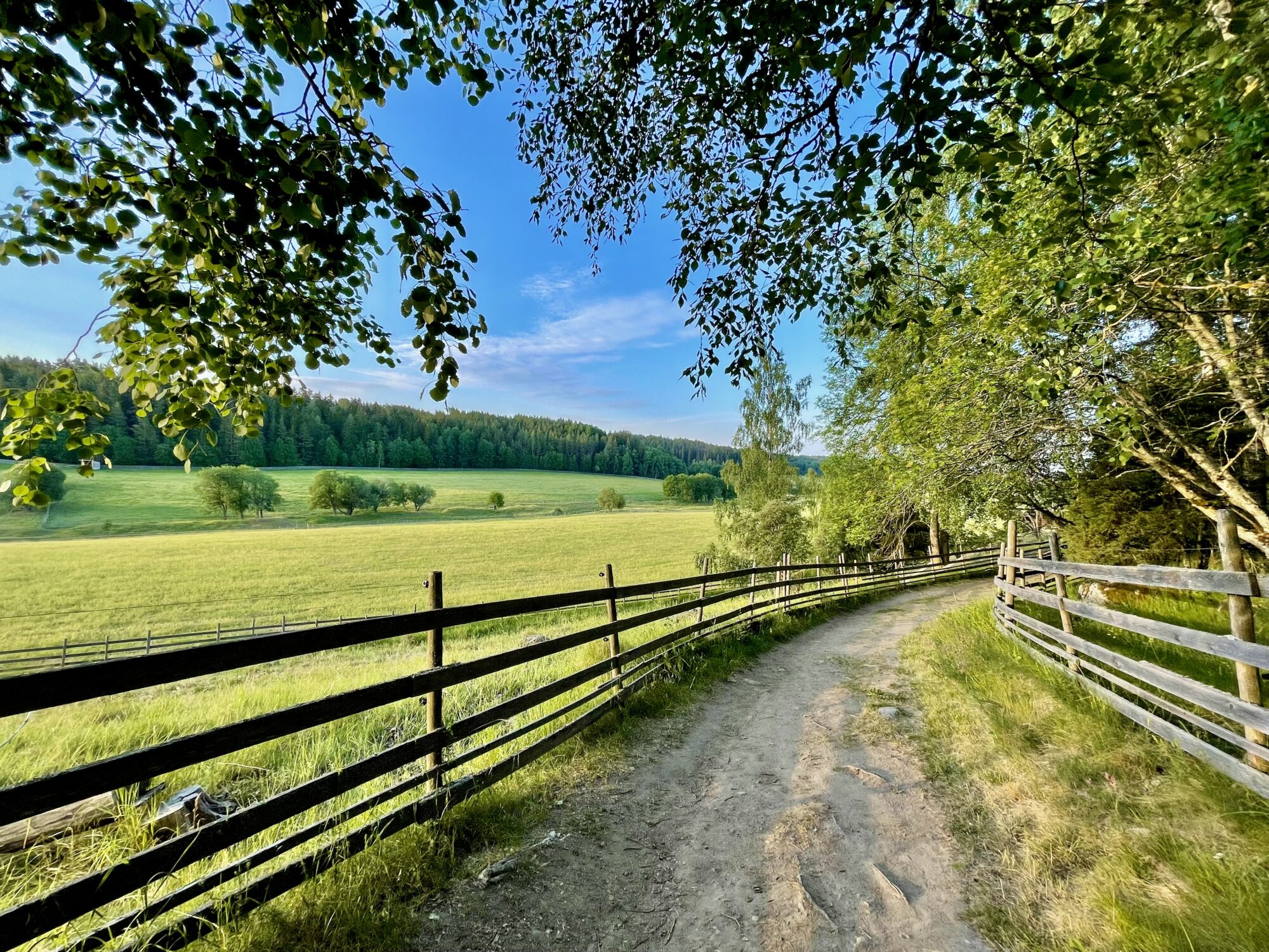 Valokuvaaja: Juhani Peltonen