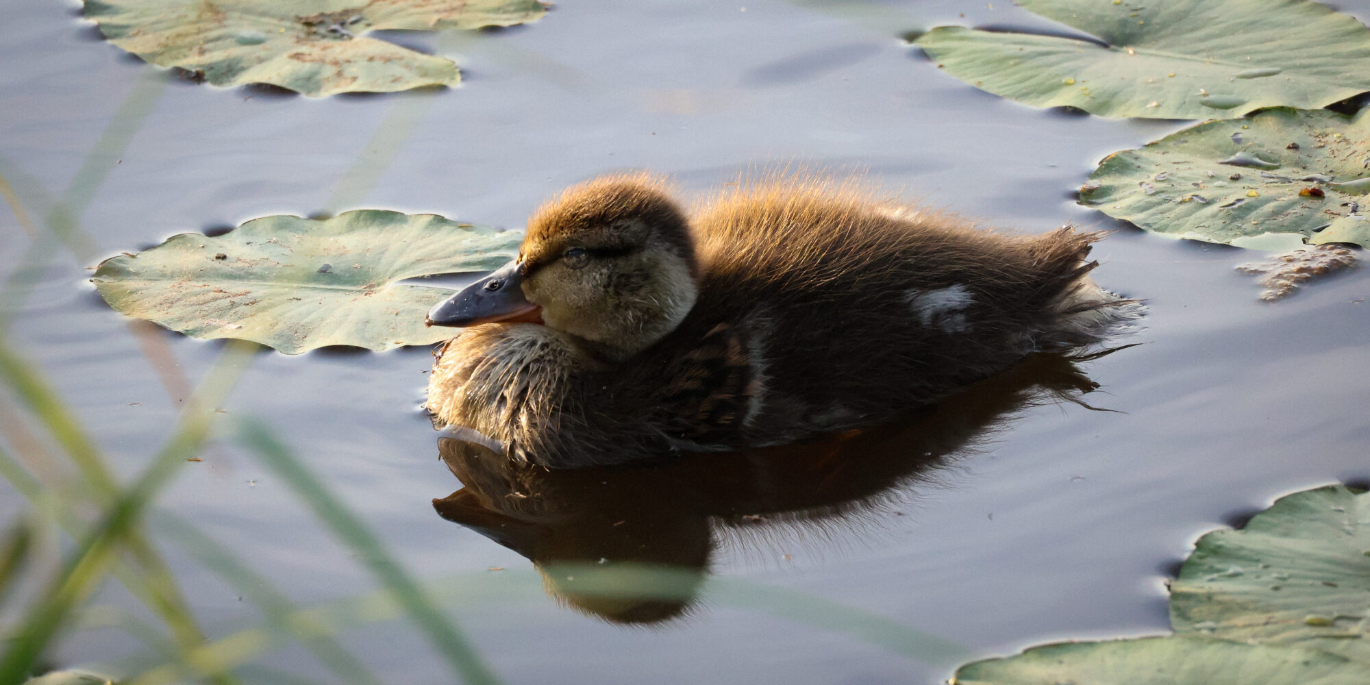 Valokuvaaja: Leevi Halme
