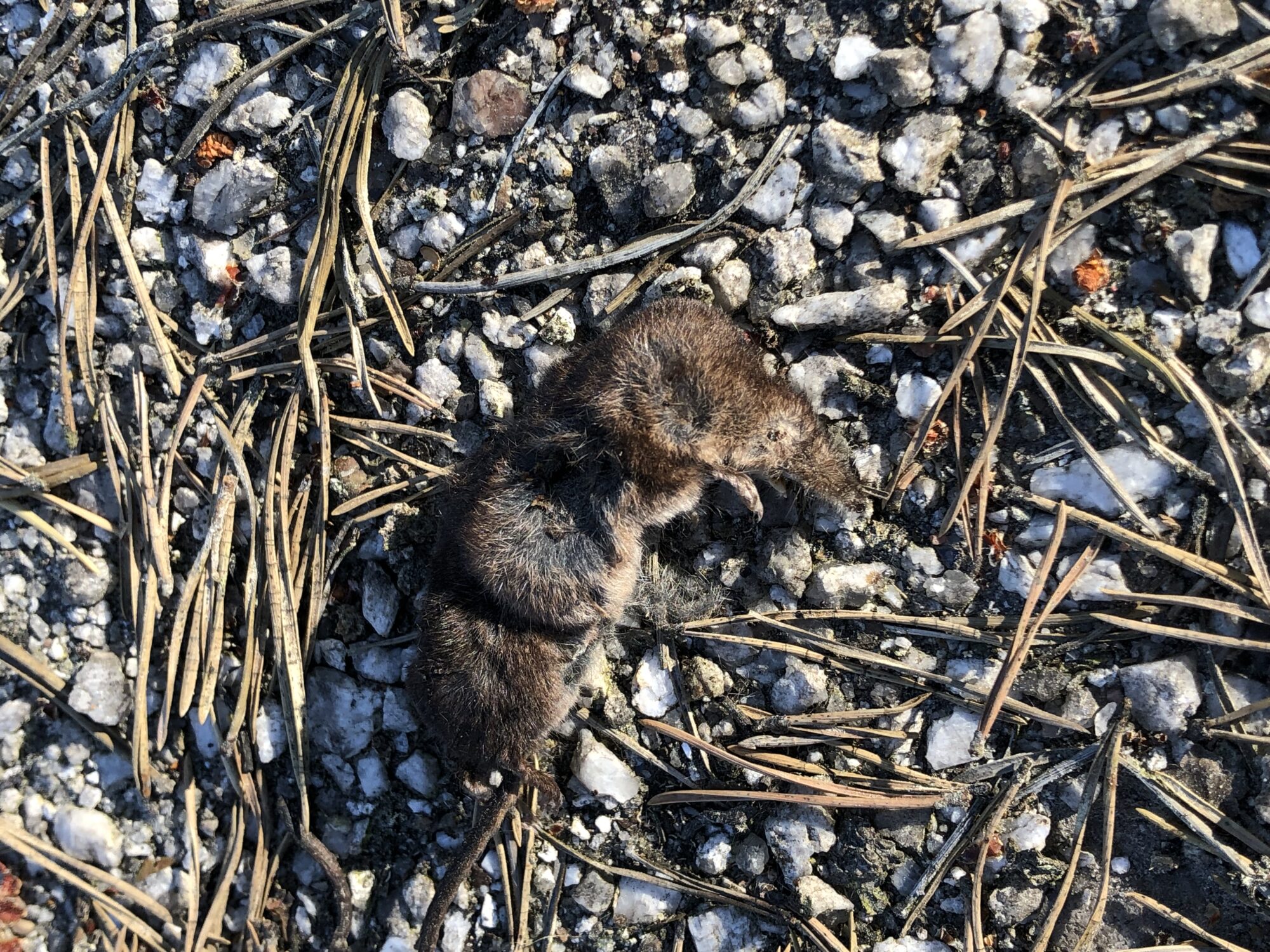 Valokuvaaja: Alvar Ilmonen