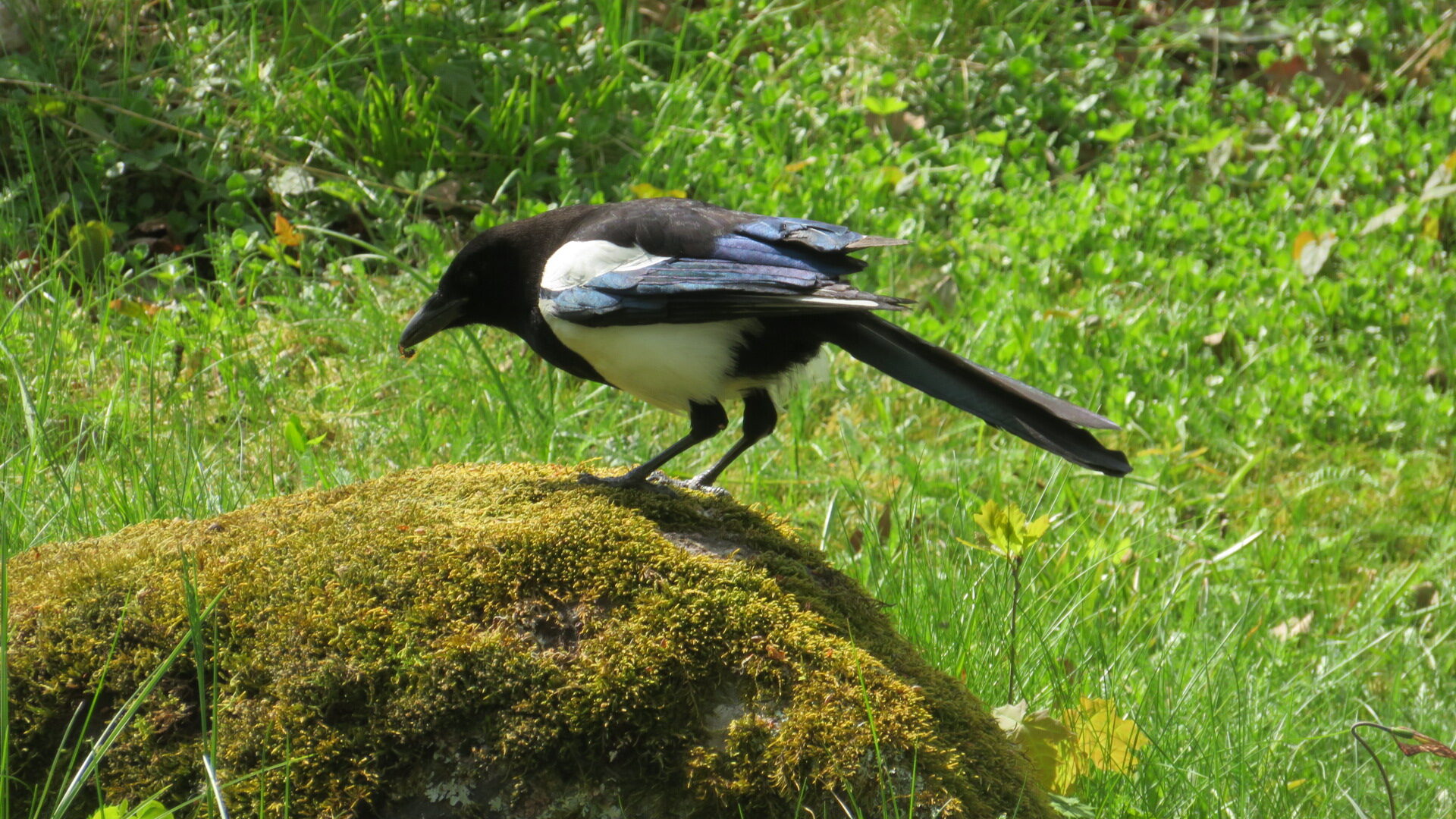 Valokuvaaja: Risto Kangassalo