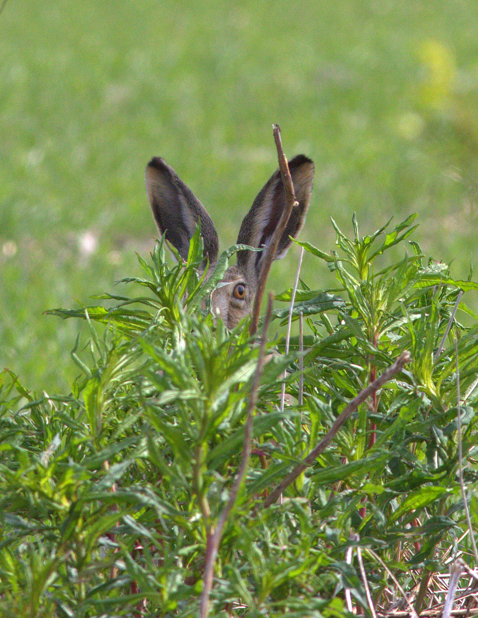 Valokuvaaja: Tapio Keinonen