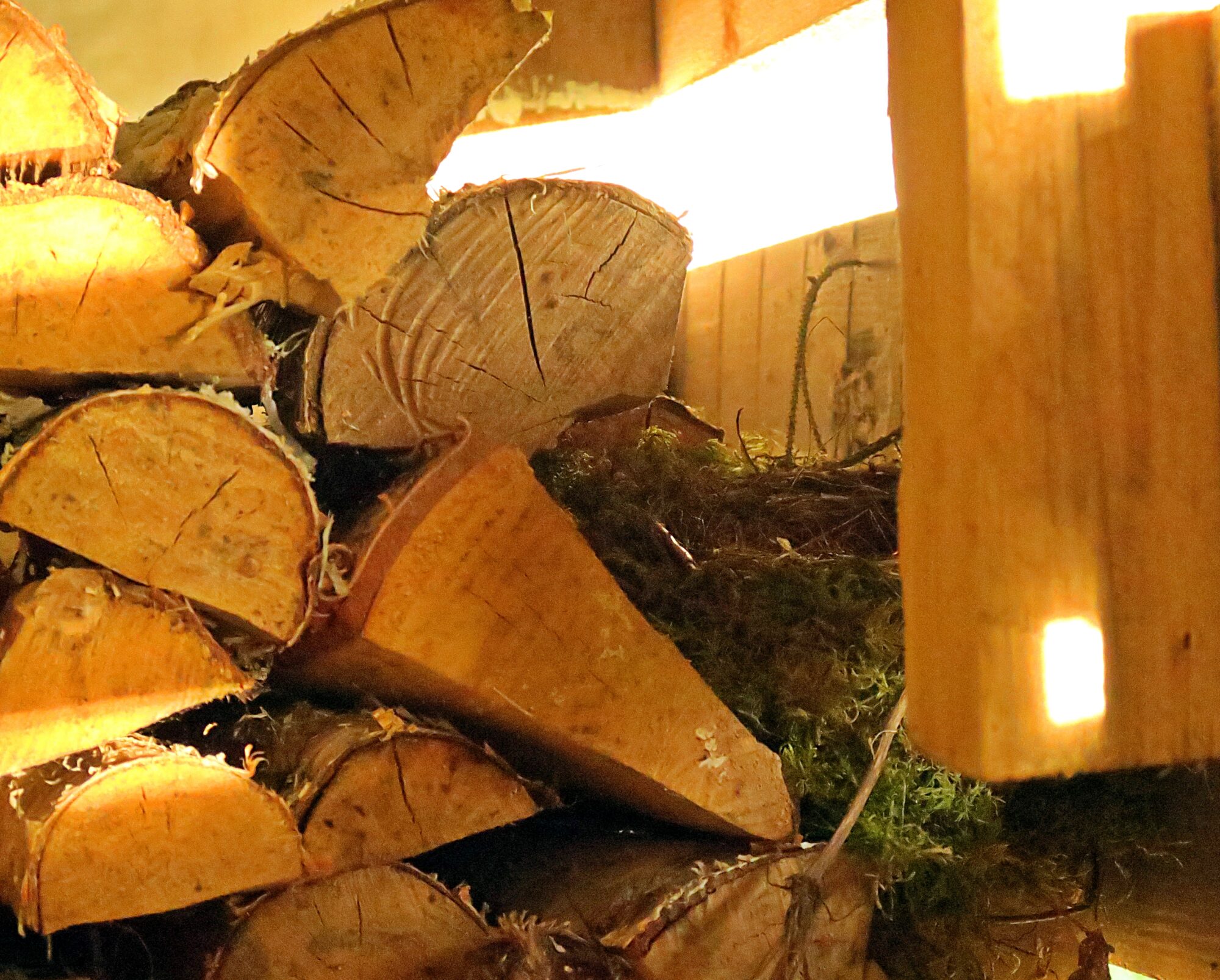 Valokuvaaja: Kati Westerlund