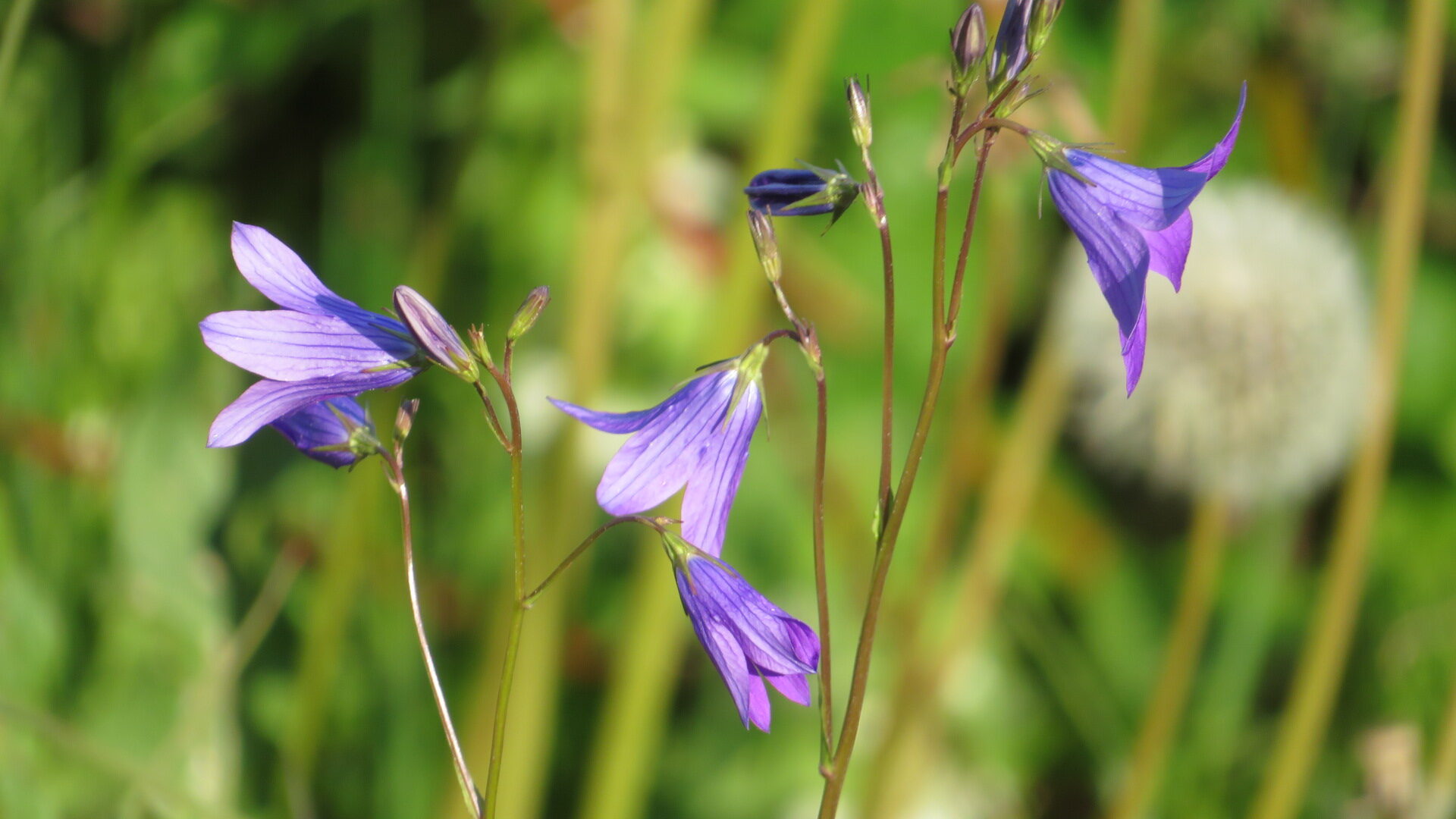 Valokuvaaja: Risto Kangassalo