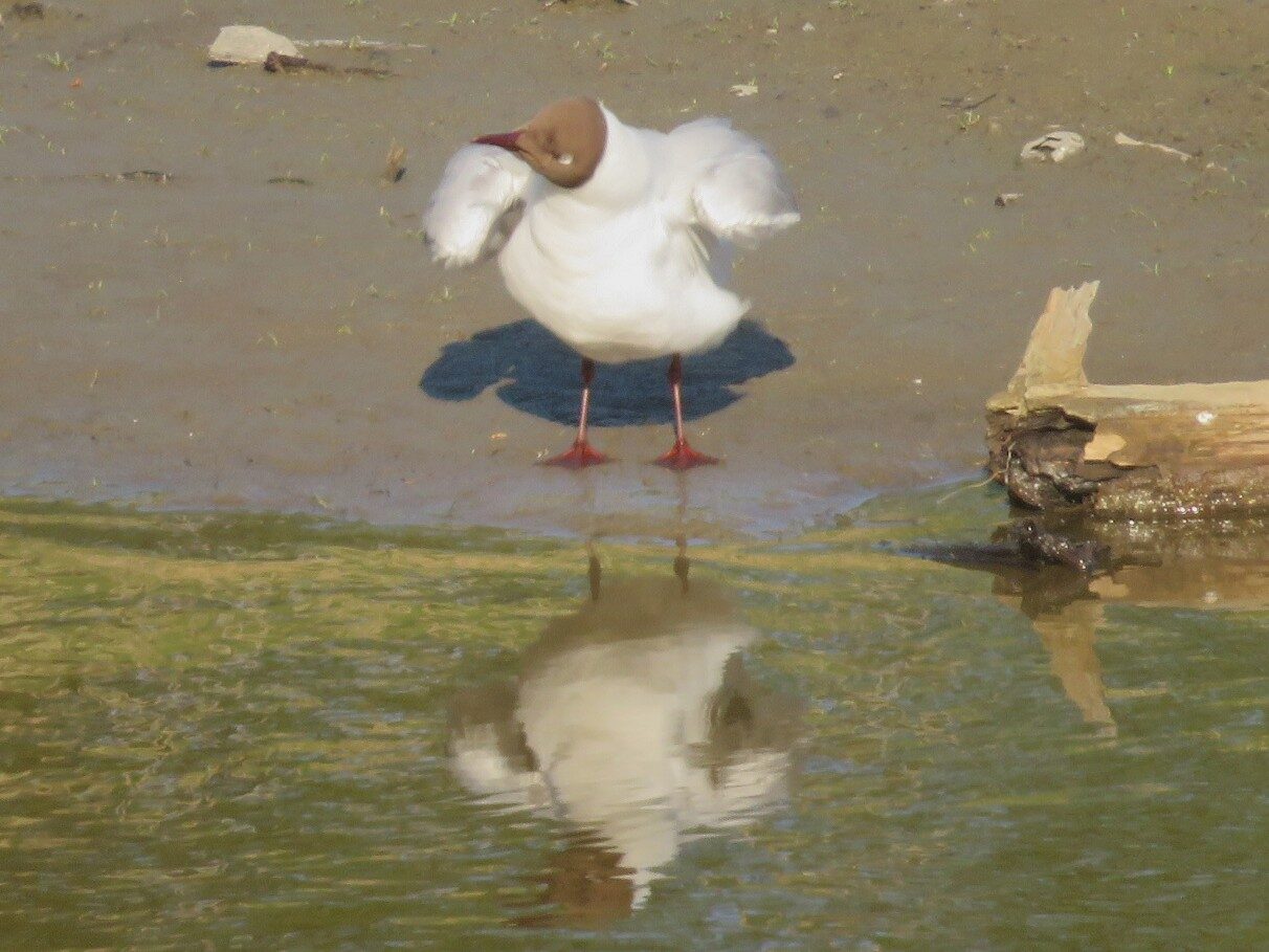 Valokuvaaja: Risto Kangassalo