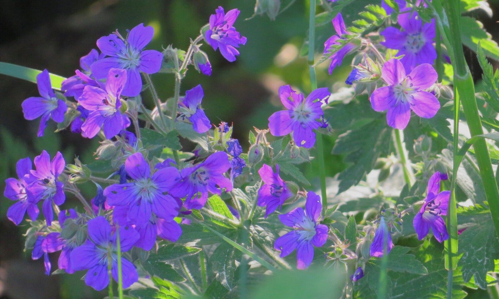 Valokuvaaja: Risto Kangassalo