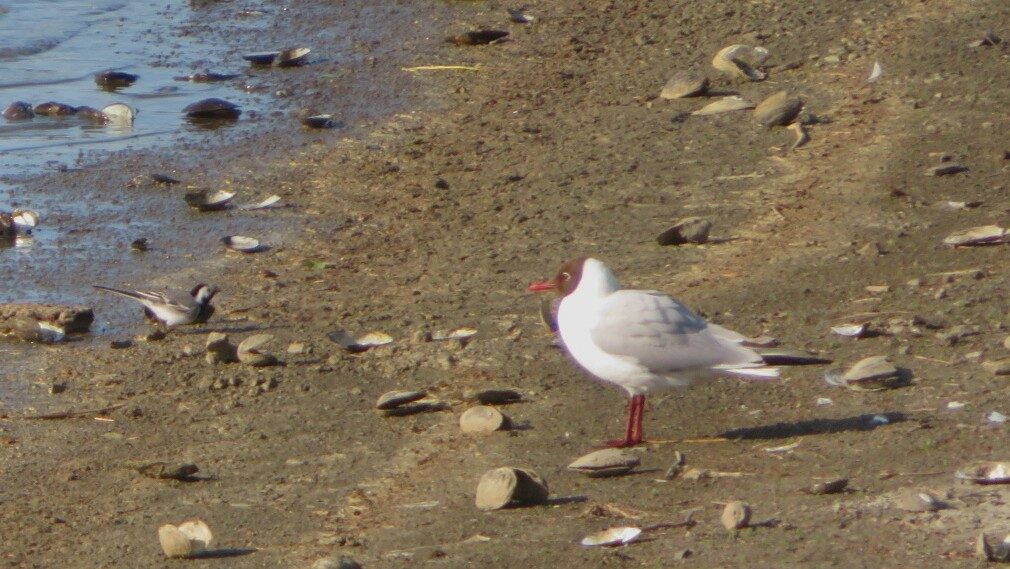 Valokuvaaja: Risto Kangassalo