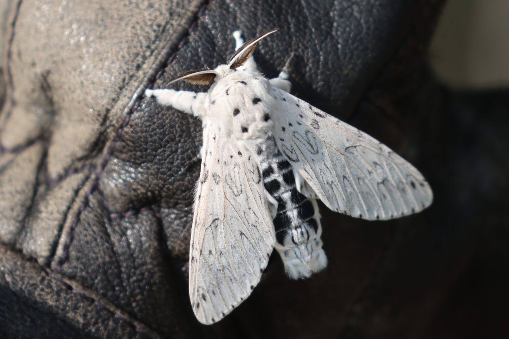 Valokuvaaja: Susanna Hannula