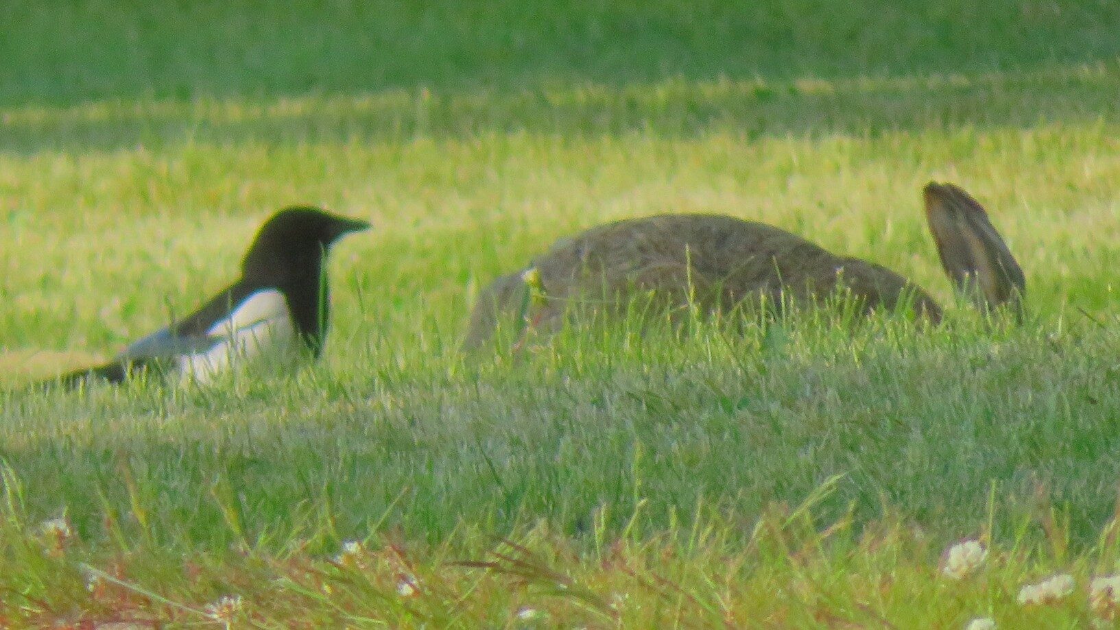 Valokuvaaja: Risto Kangassalo