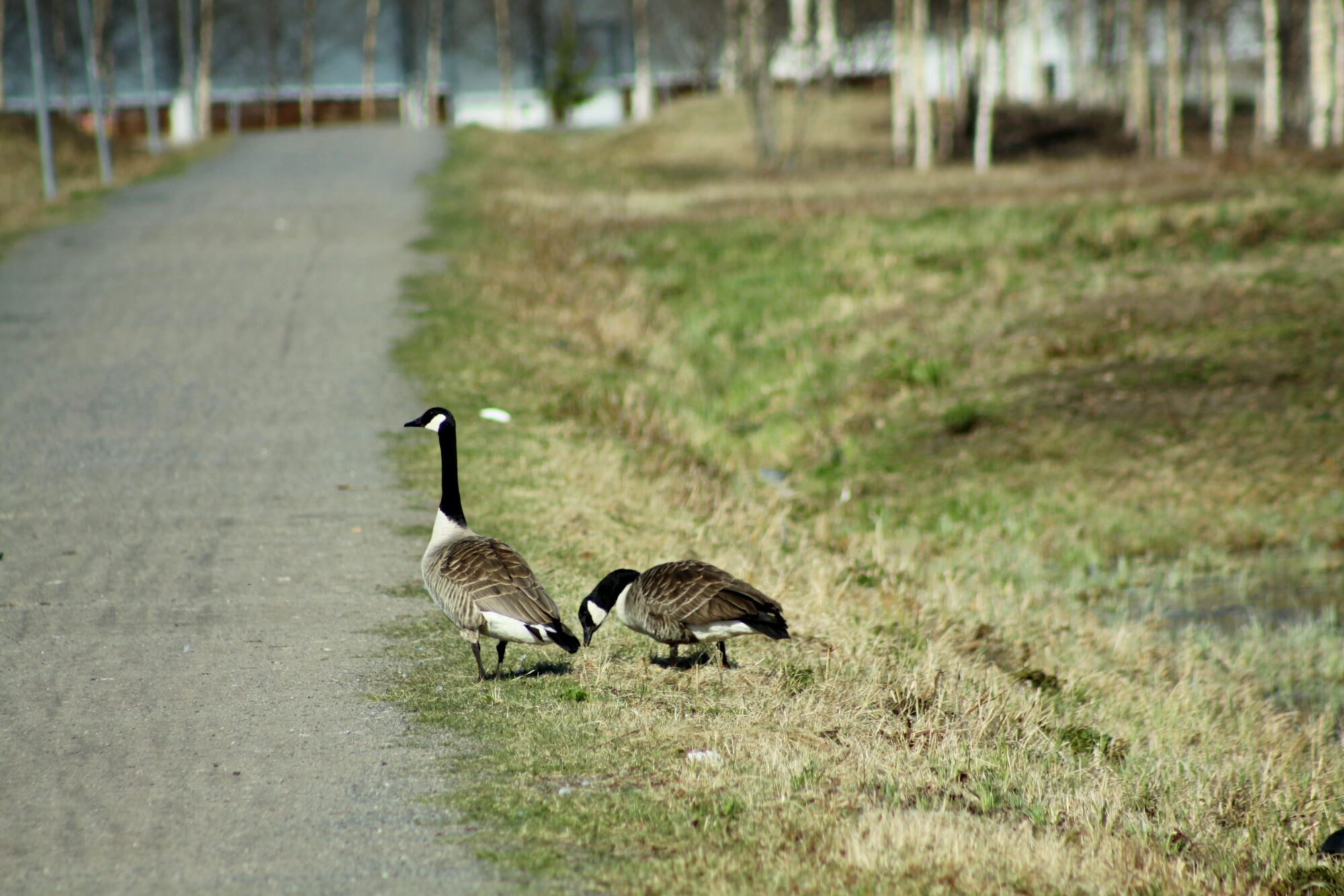 Valokuvaaja: Pirkko Siukonen