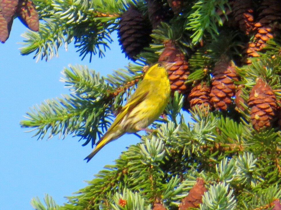 Valokuvaaja: Risto Kangassalo