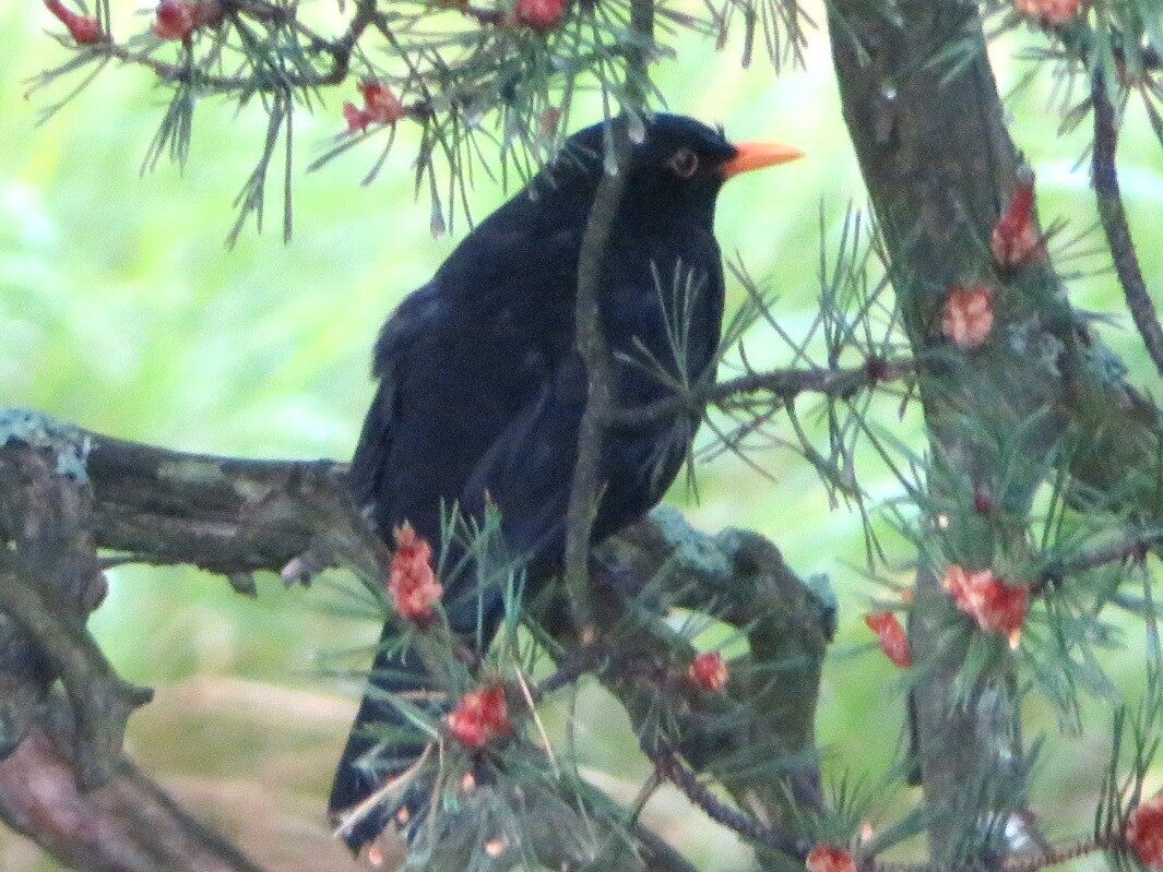 Valokuvaaja: Risto Kangassalo