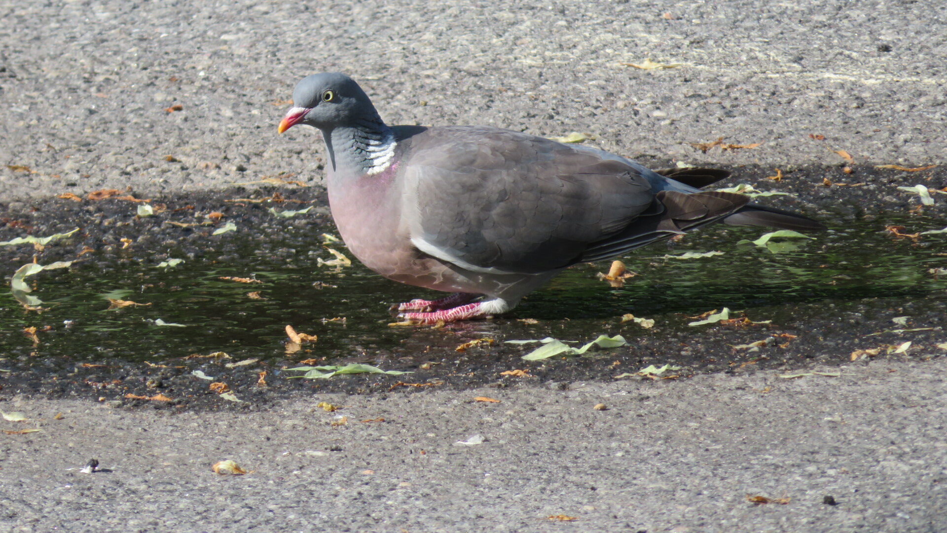 Valokuvaaja: Risto Kangassalo