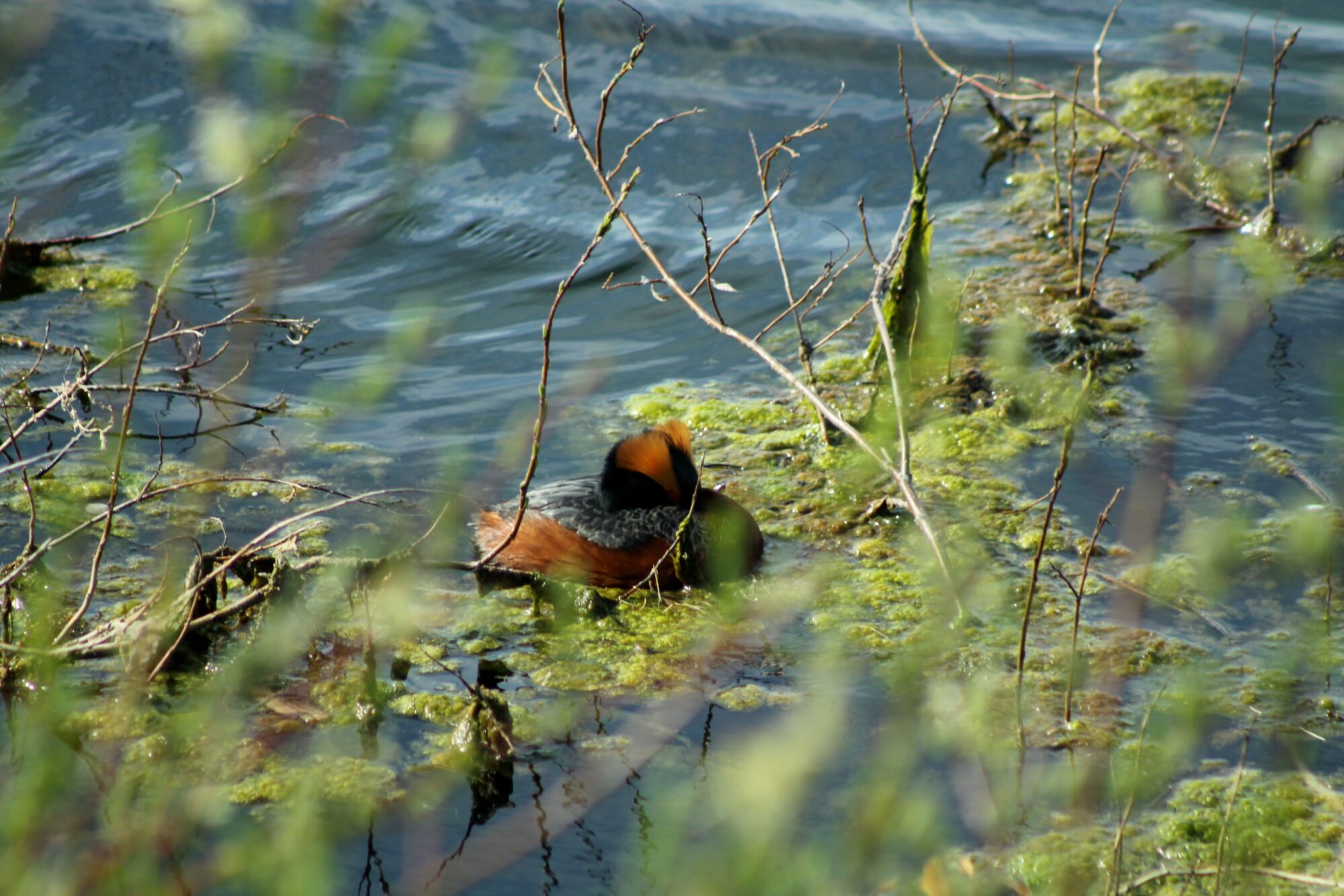 Valokuvaaja: Pirkko Siukonen Valokuvaaja: Pirkko Siukonen