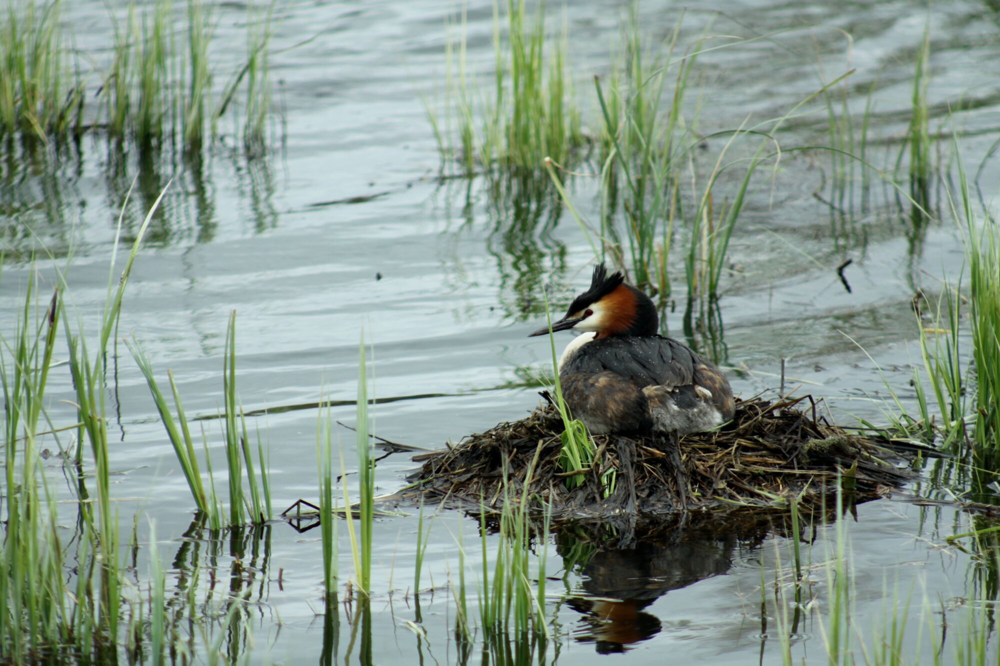 Valokuvaaja: Pirkko Siukonen