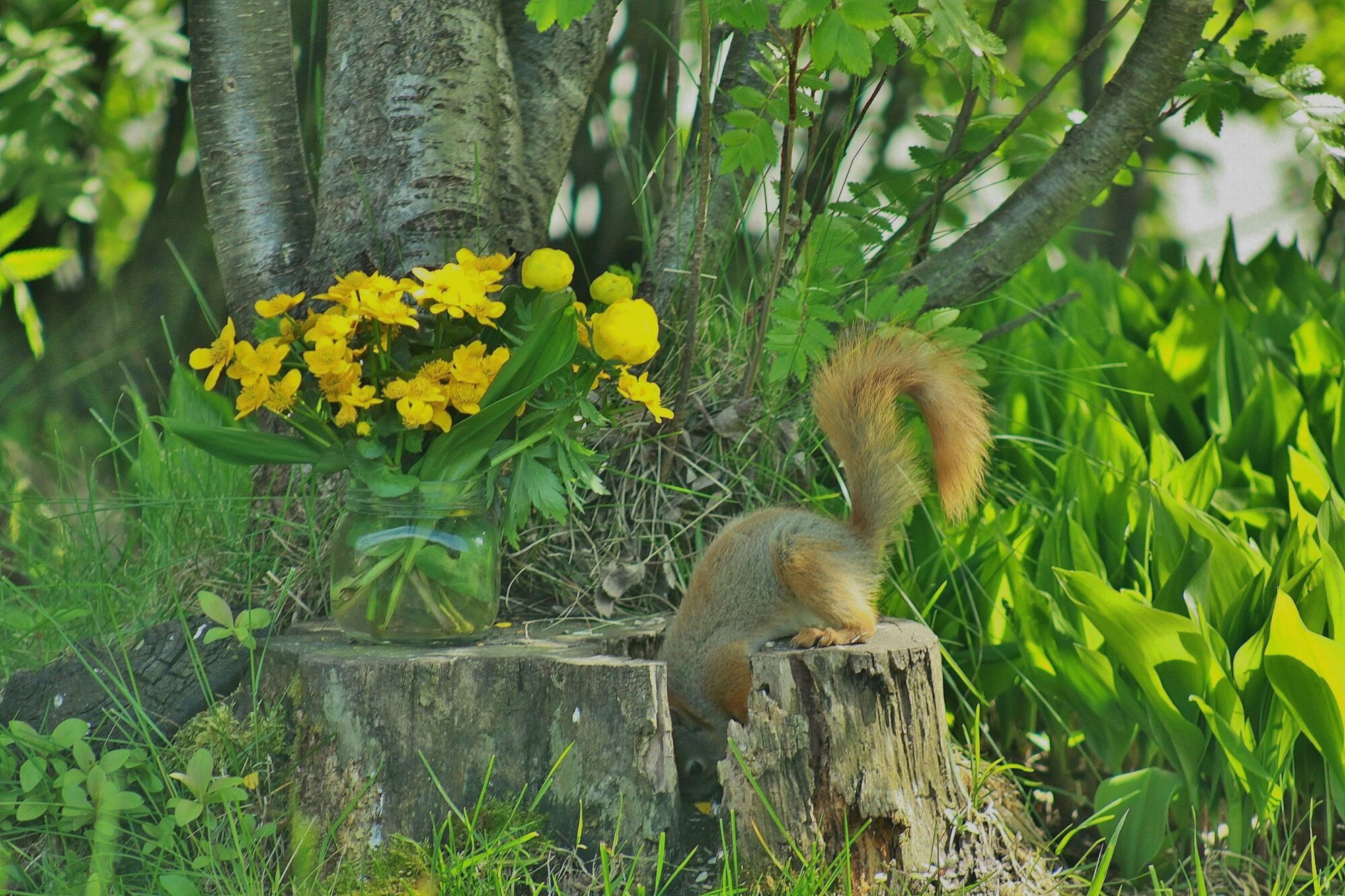 Valokuvaaja: Pirkko Siukonen