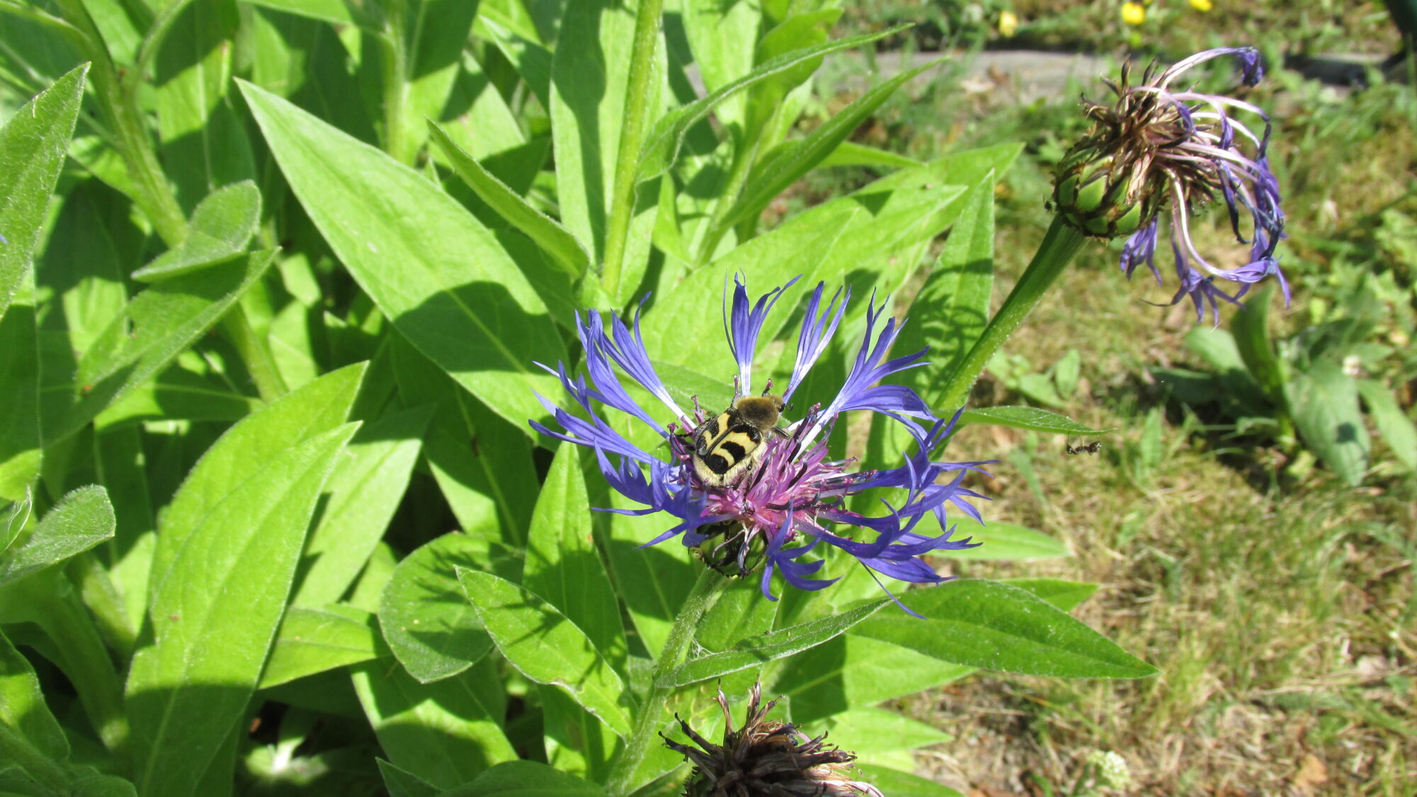 Valokuvaaja: Tarja-Liisa Viitala