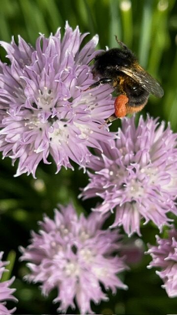 Valokuvaaja: Minna Mäkinen
