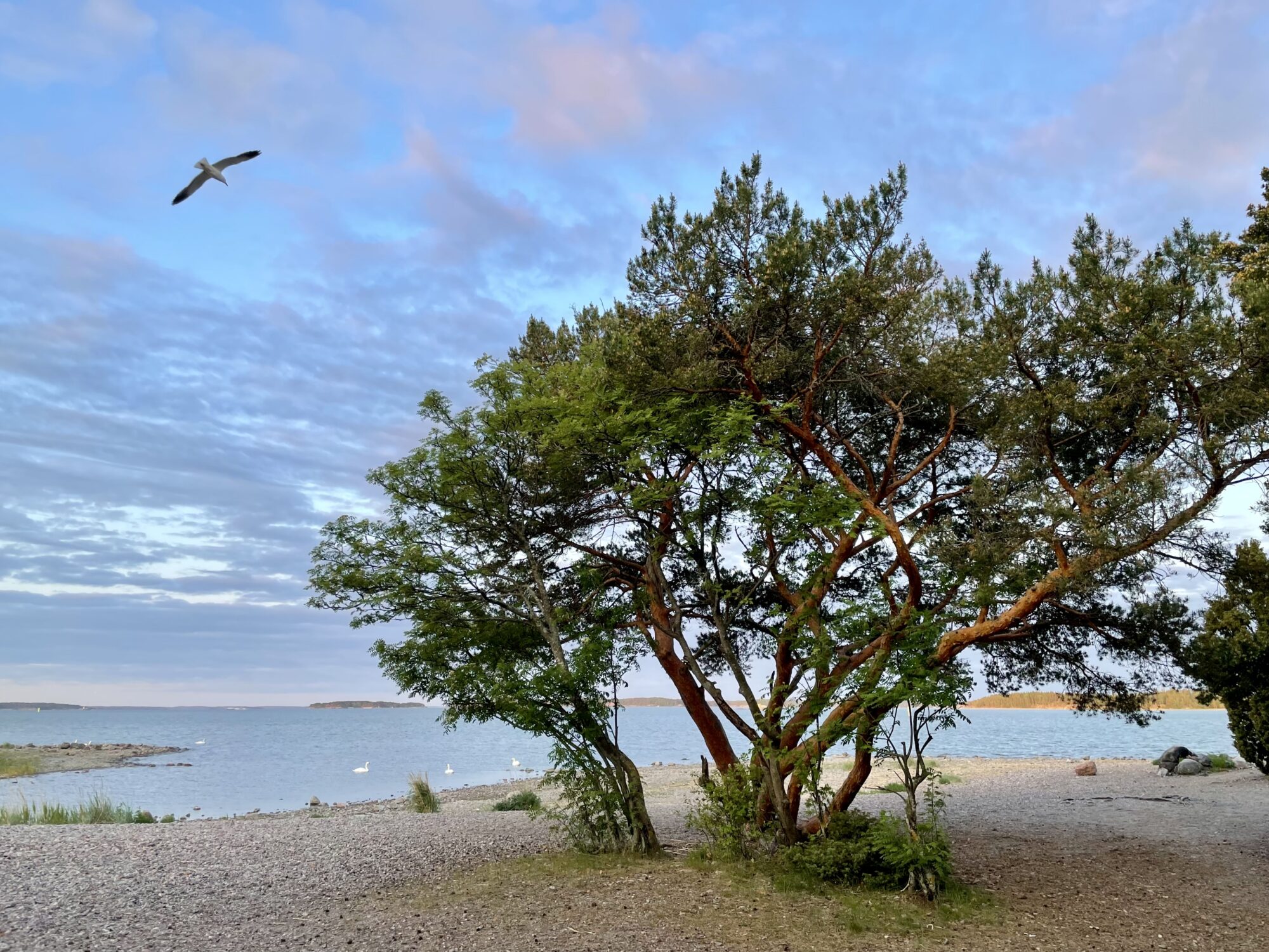 Valokuvaaja: Juhani Peltonen